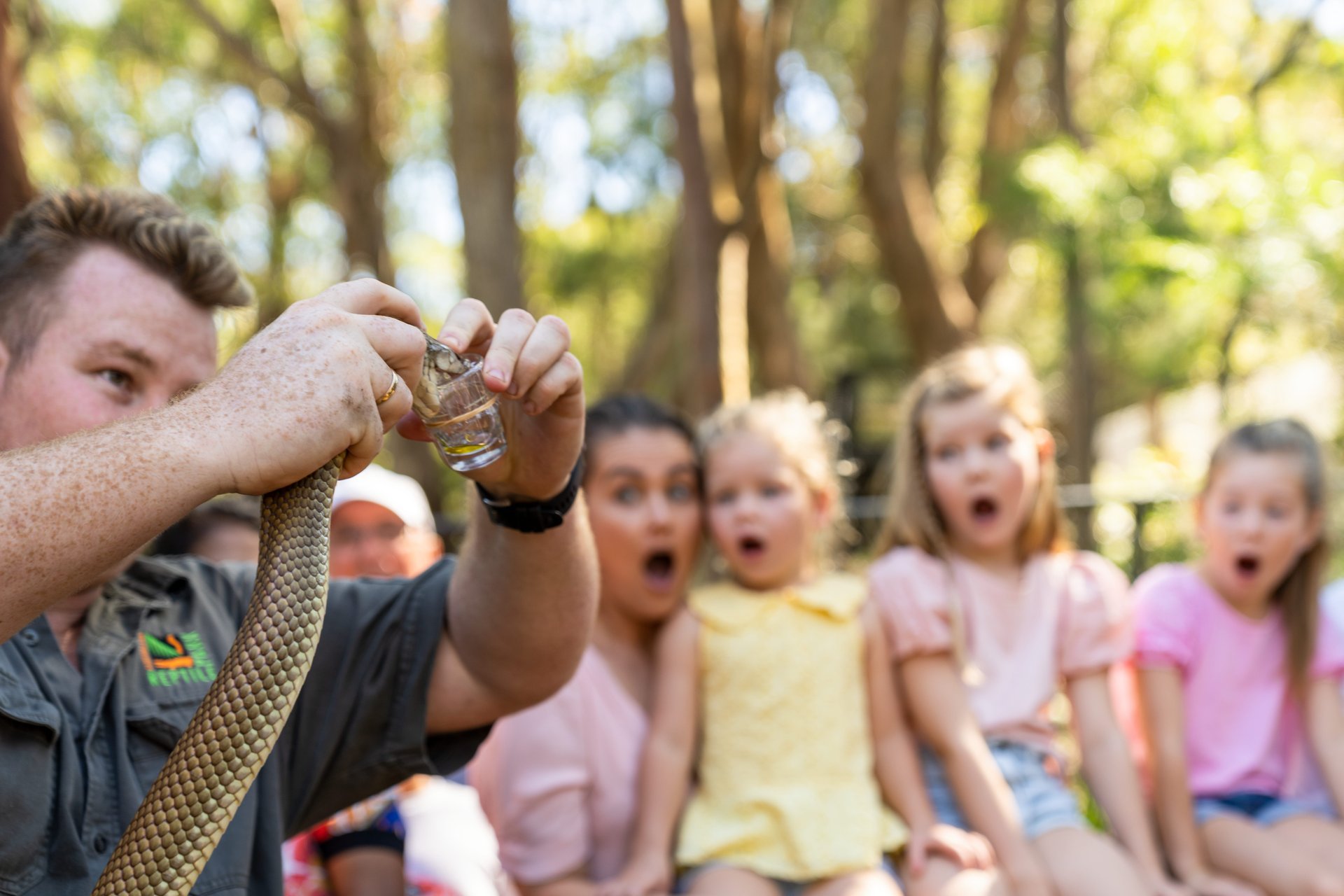 A snake handler milks a snake in front of a group of children
