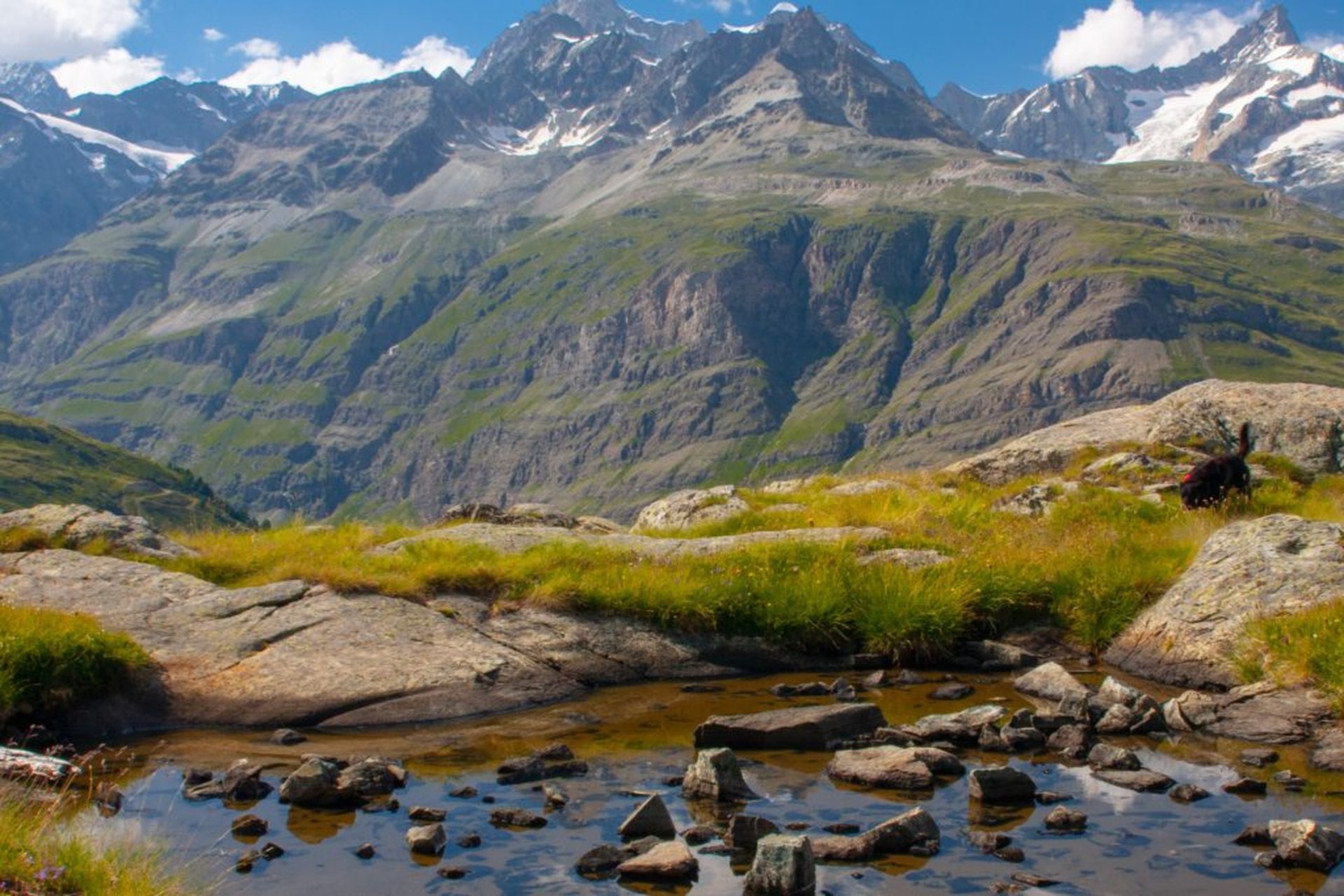 zermatt Zwitserland camper vakantie hergst