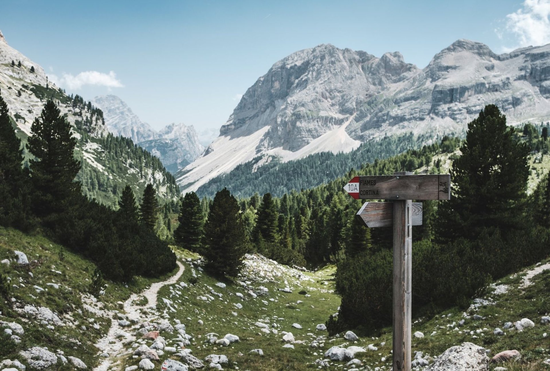 Alpenüberquerung mit Hund: Wandern mit Hund in den Bergen