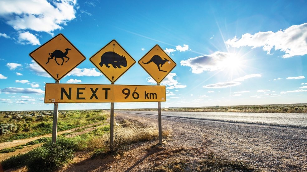 Road train on the Nullarbor. Epic Aussie road trip vibes between Perth & Adelaide.