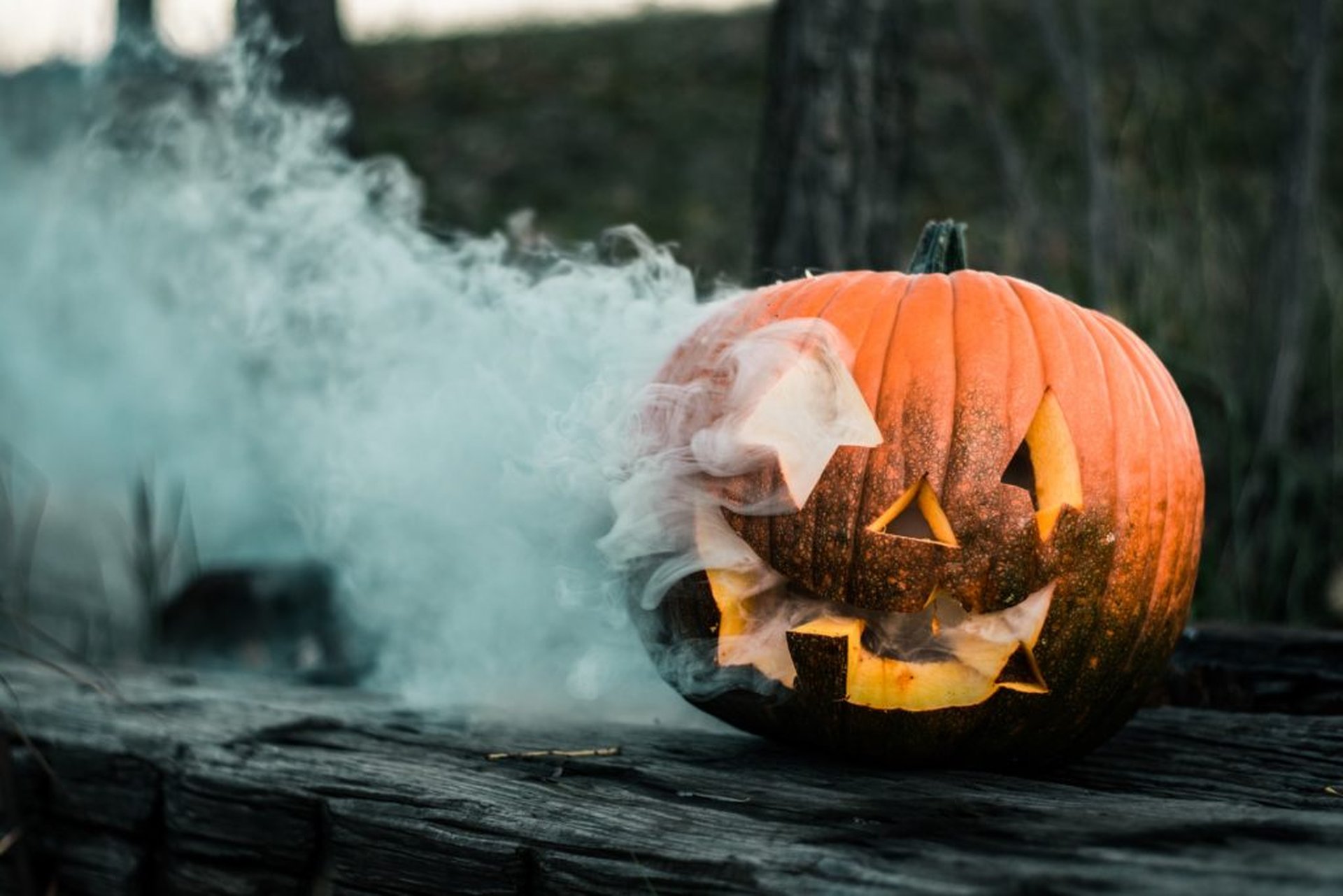 Die gruseligsten Orte in Deutschland zu Halloween