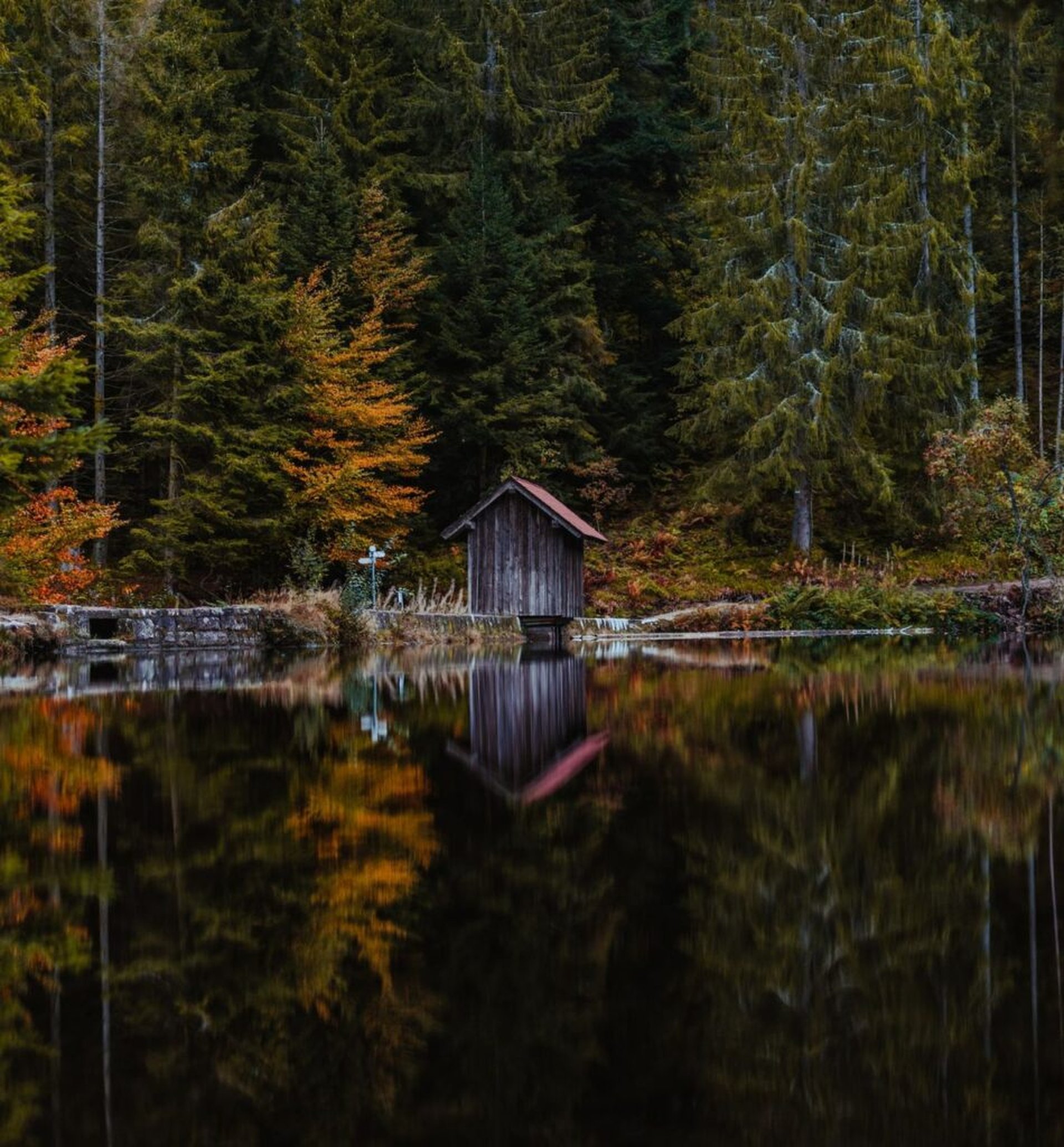 Campingpltze im Schwarzwald: Das sind die 5 besten Campingpltze