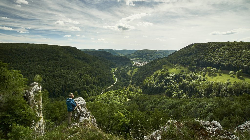 Camper header: Time-out in de natuur