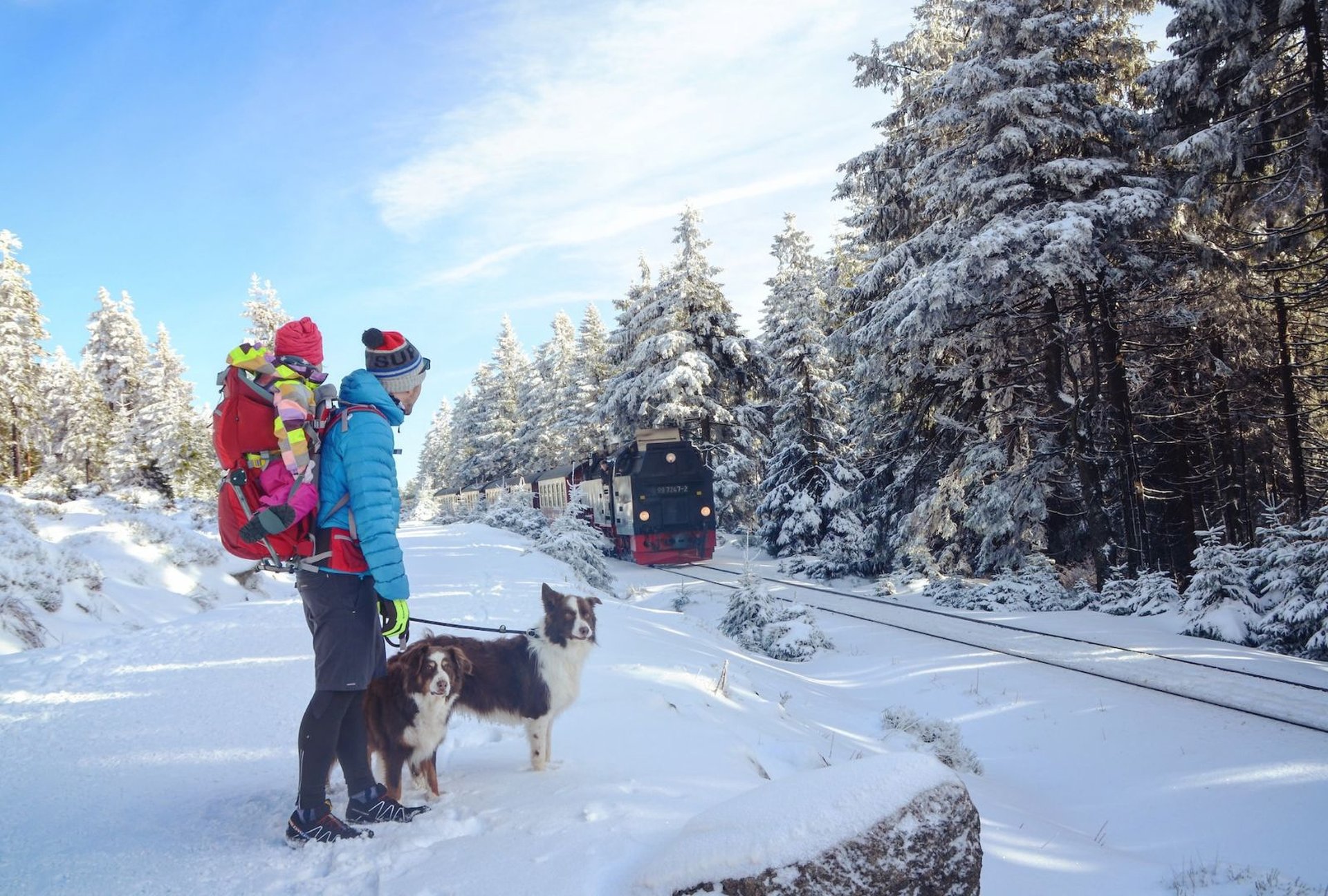 Harz Brocken Winterurlaub