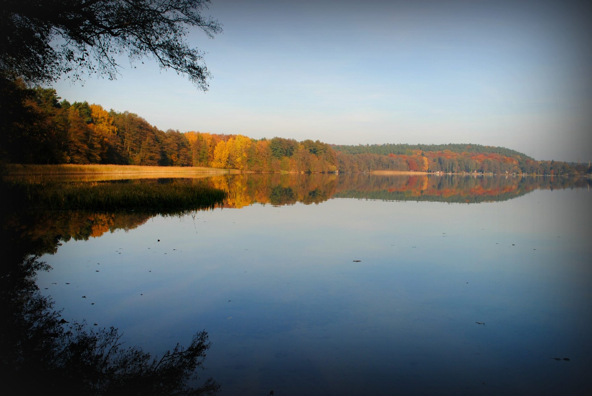 Werbellinsee tiefster See in Brandenburg Natur Wandern