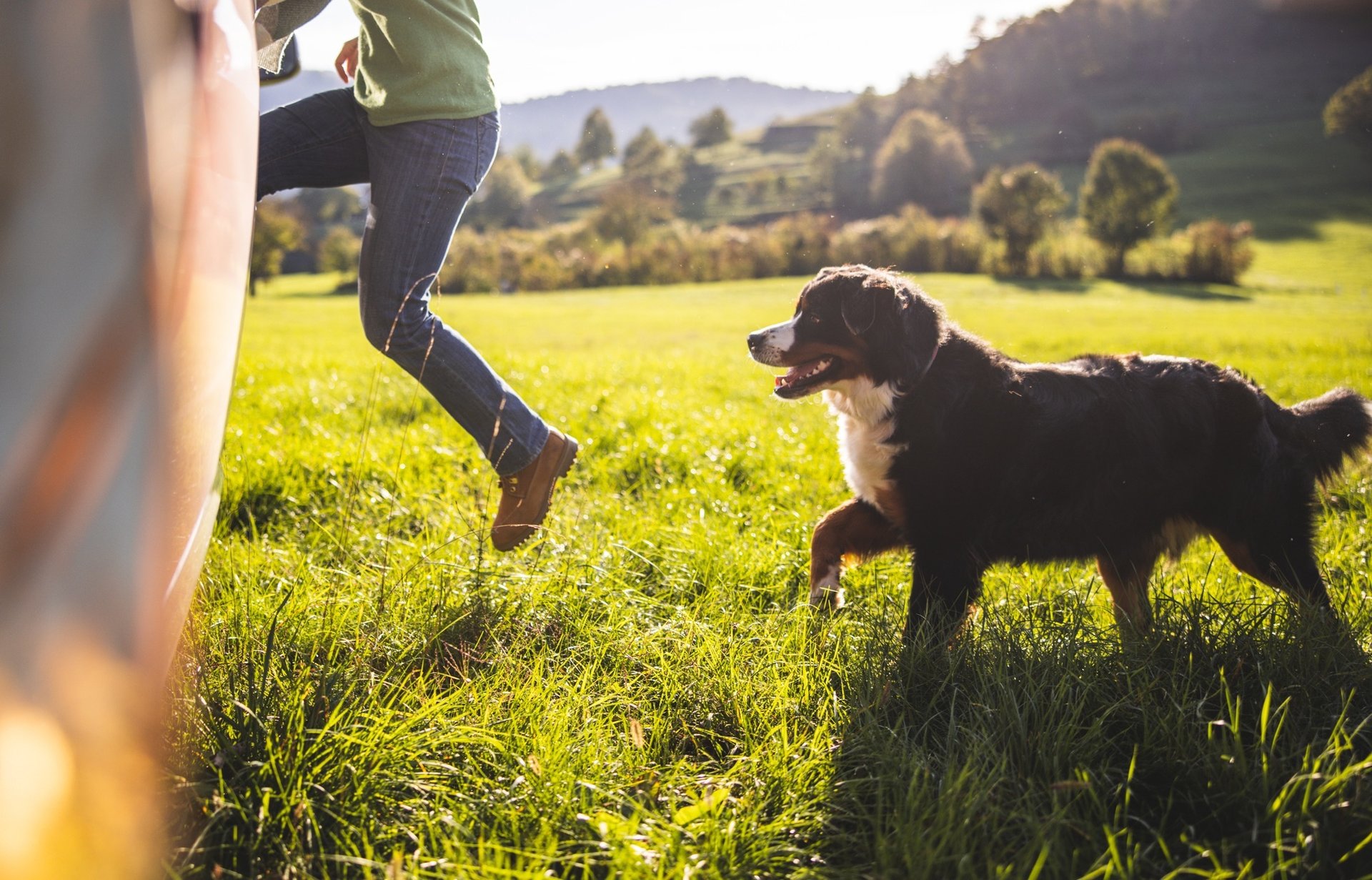 Hundefreundlicher Campingurlaub: Du entspannst mit Deinem Hund am Wohnwagen auf dem Stellplatz.