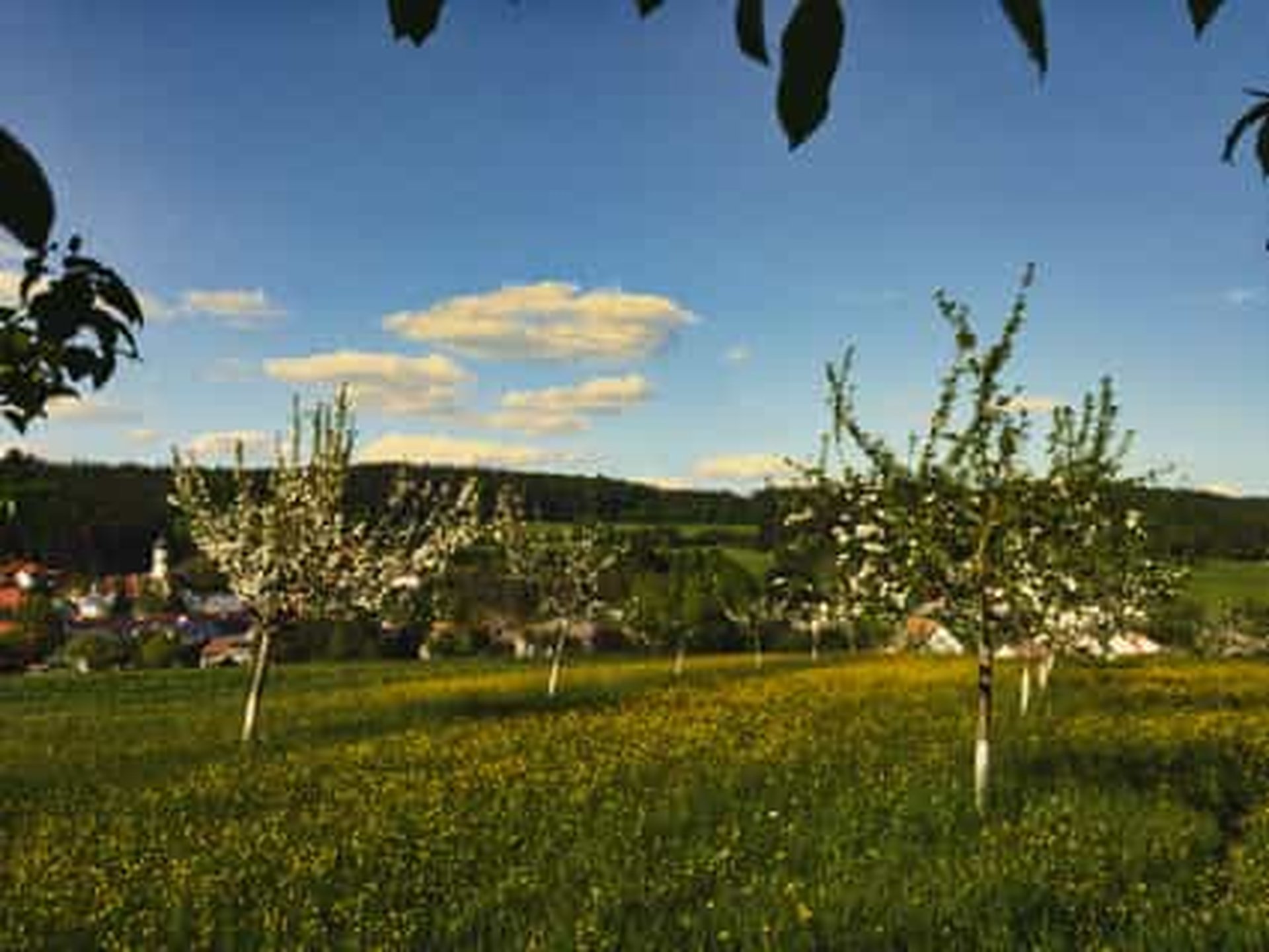 Die 7 schönsten Übernachtungsmöglichkeiten für Camping in Bayern