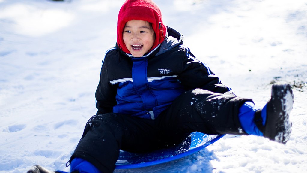Camper header: Dit zijn de 5 beste rodelbanen van Europa!