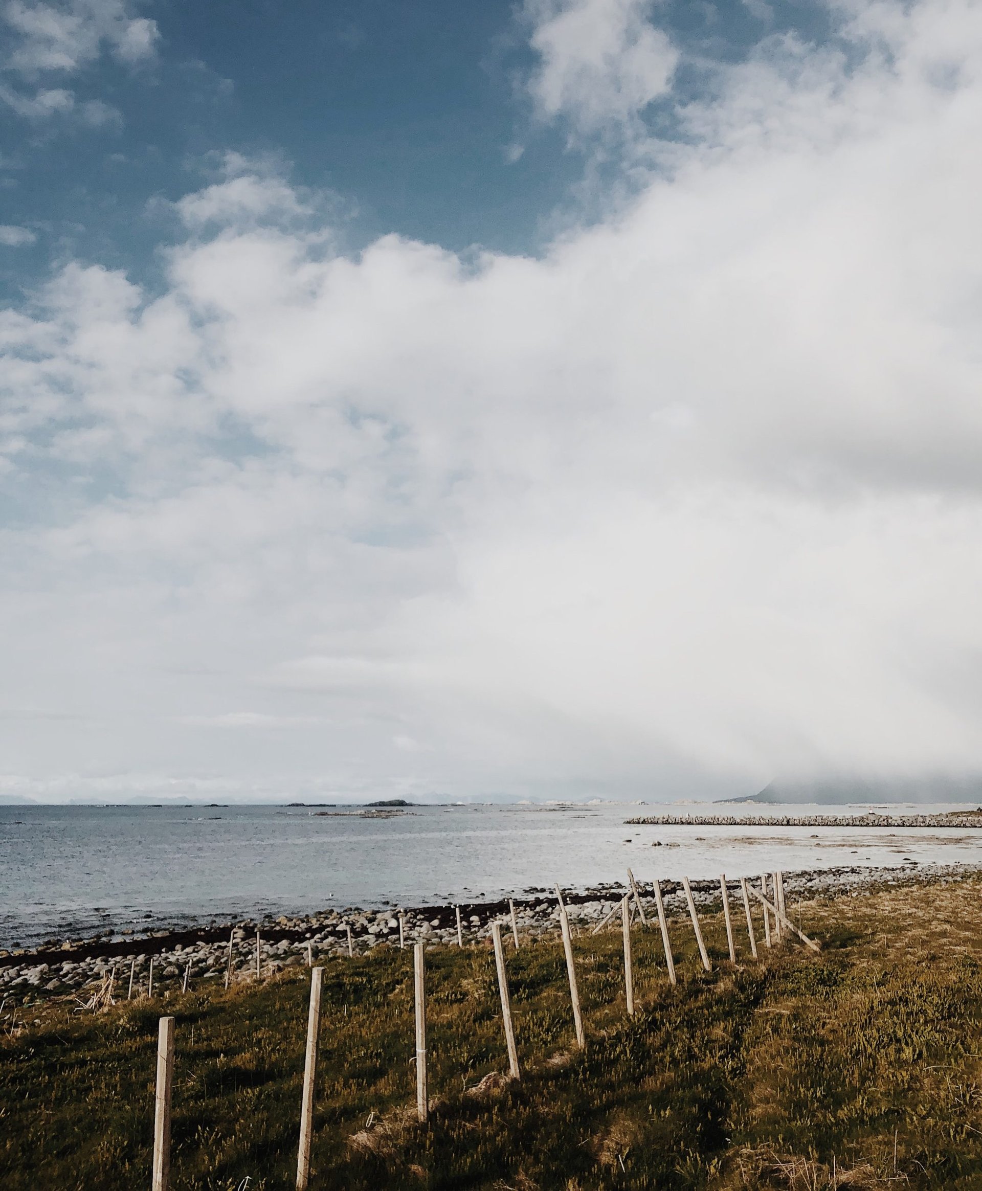 Das Meer genießen auf Lofoten Rundreise