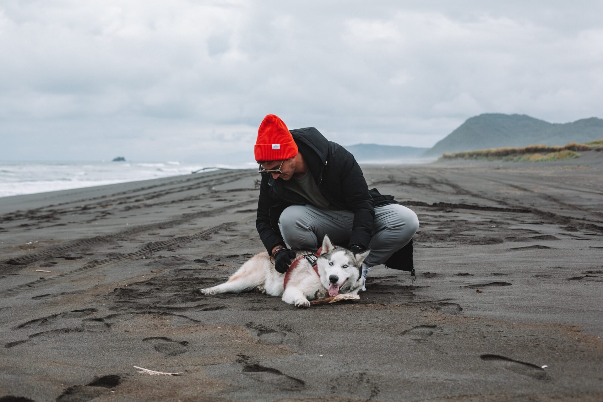 Camping Dänemark mit Hund: Hundefreundliche Campingplätze am Meer