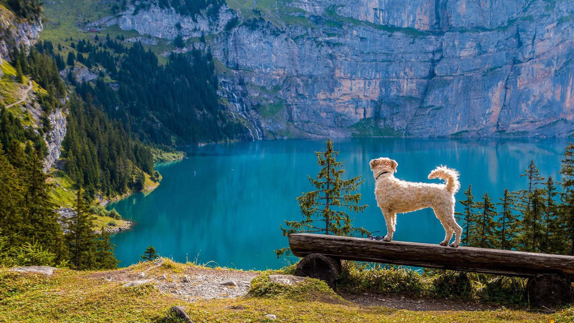 Wohnwagen vor Bergpanorama in Bayern. Perfekt für Deinen Urlaub mit Hund in der Natur!