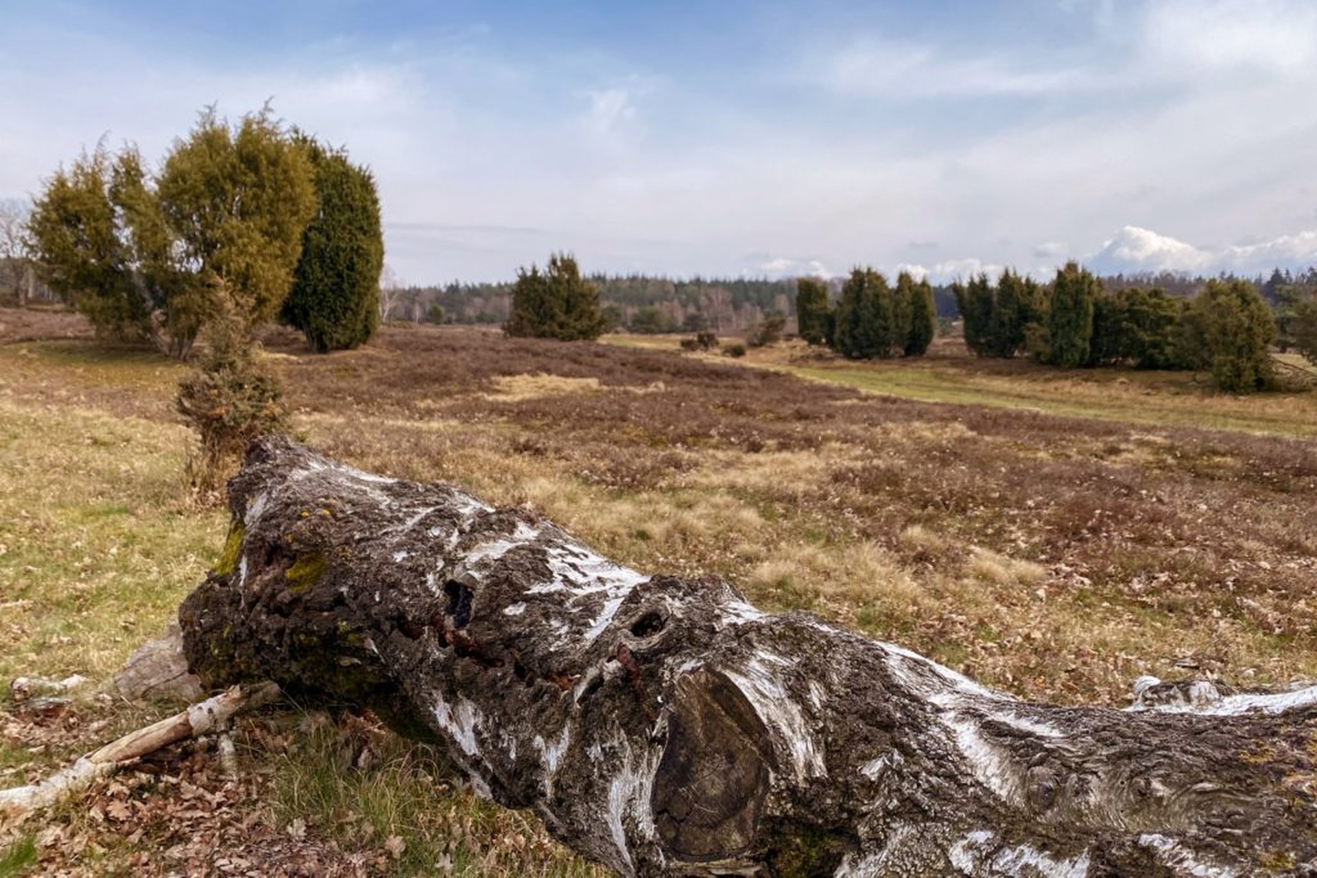 herfss duitsland Lüneburger Heide