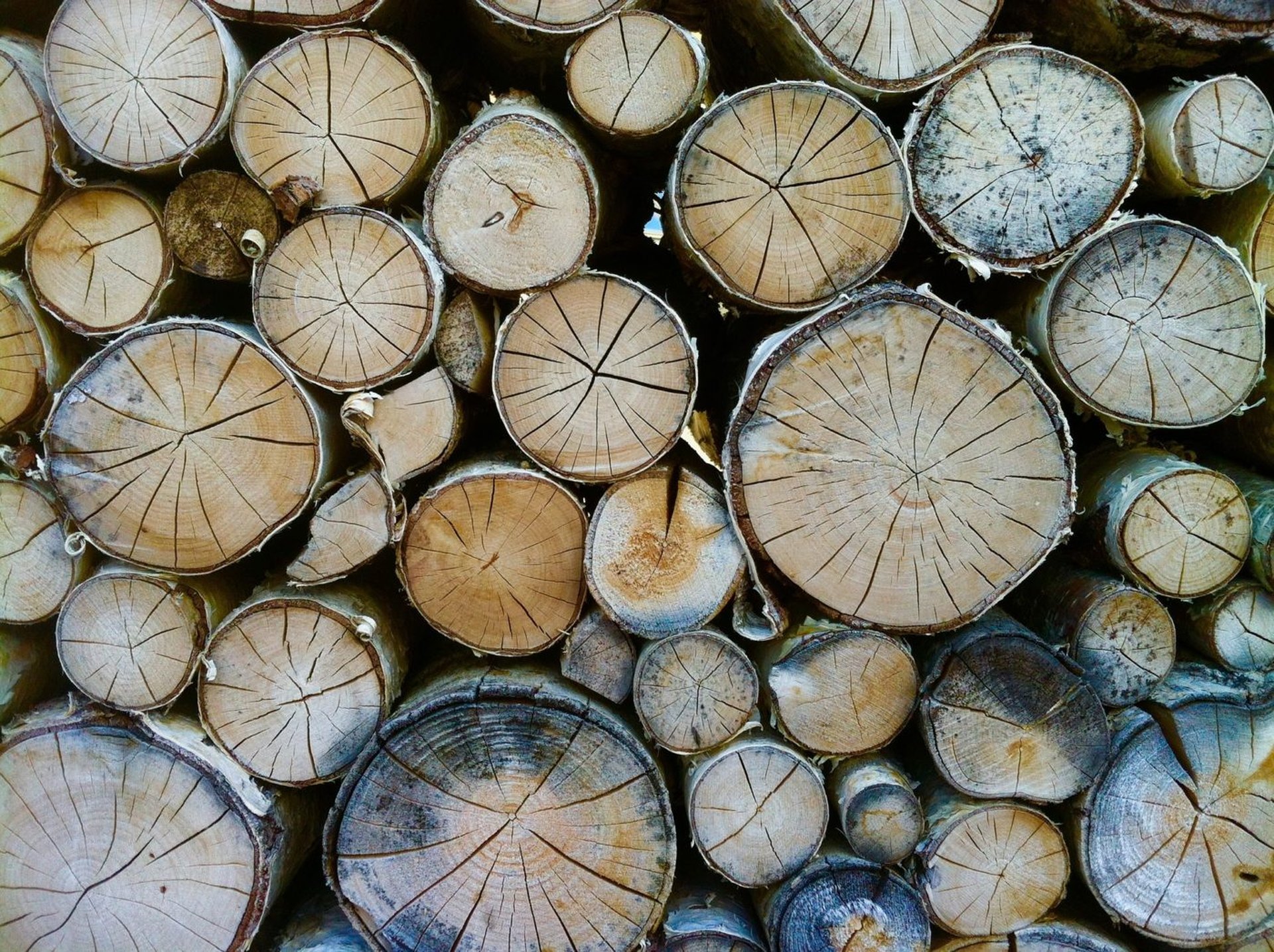 Wohnmobil Heizung Holz zum Anfeuern