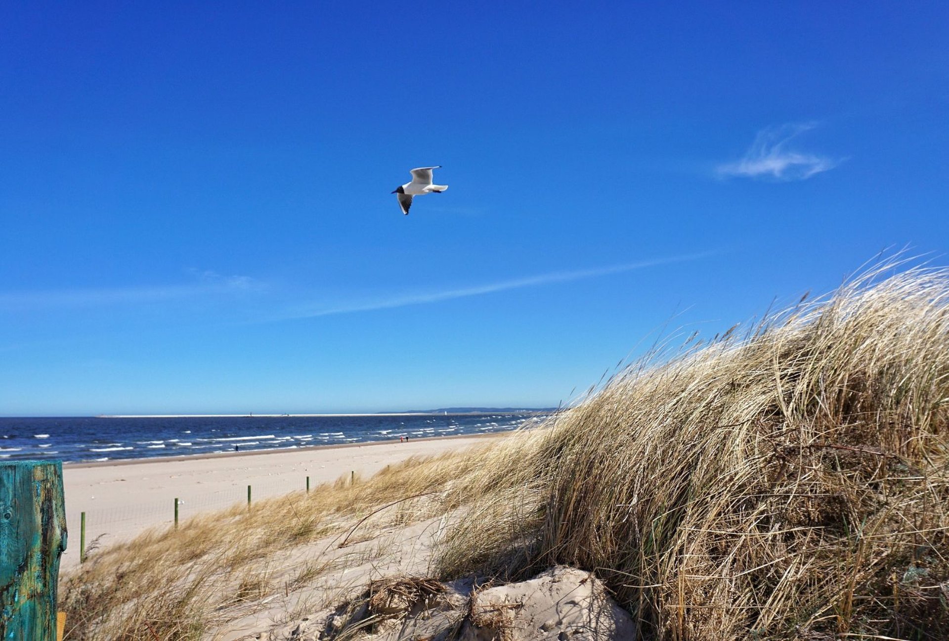 Camping Usedom: Die 10 schnsten Campingpltze auf der Sonneninsel