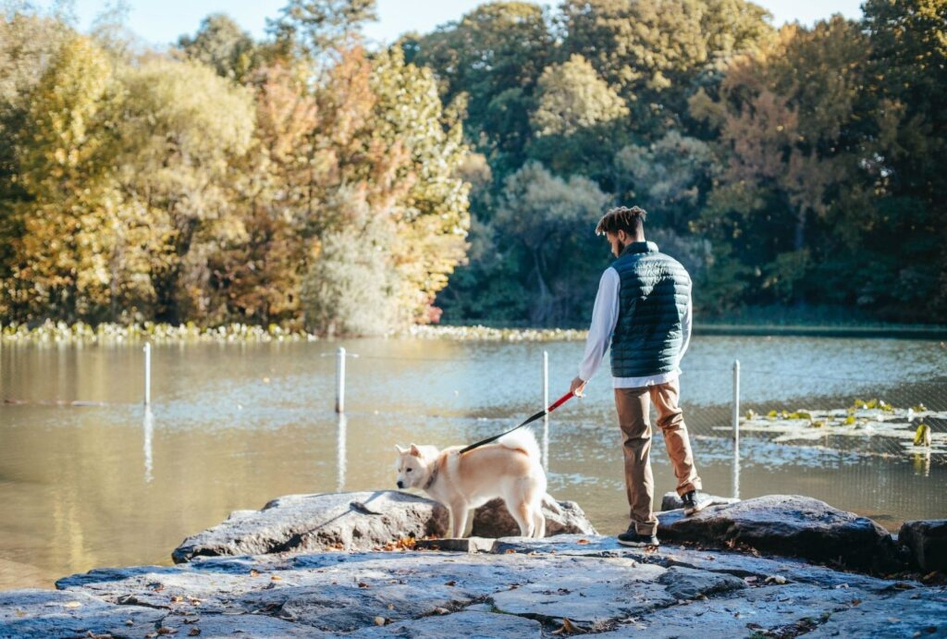 Urlaub mit Hund am See in Deutschland