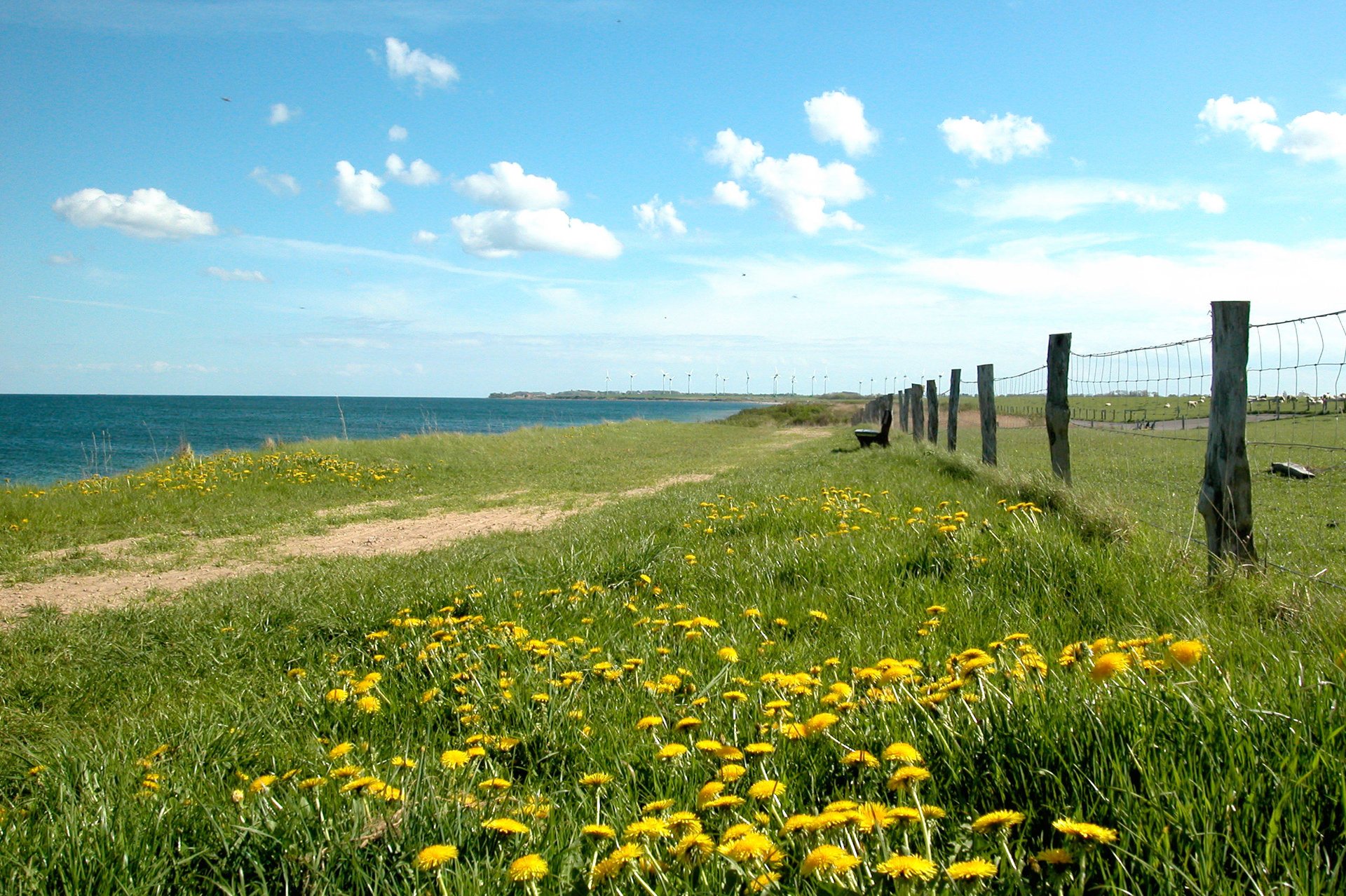 camping fehmarn