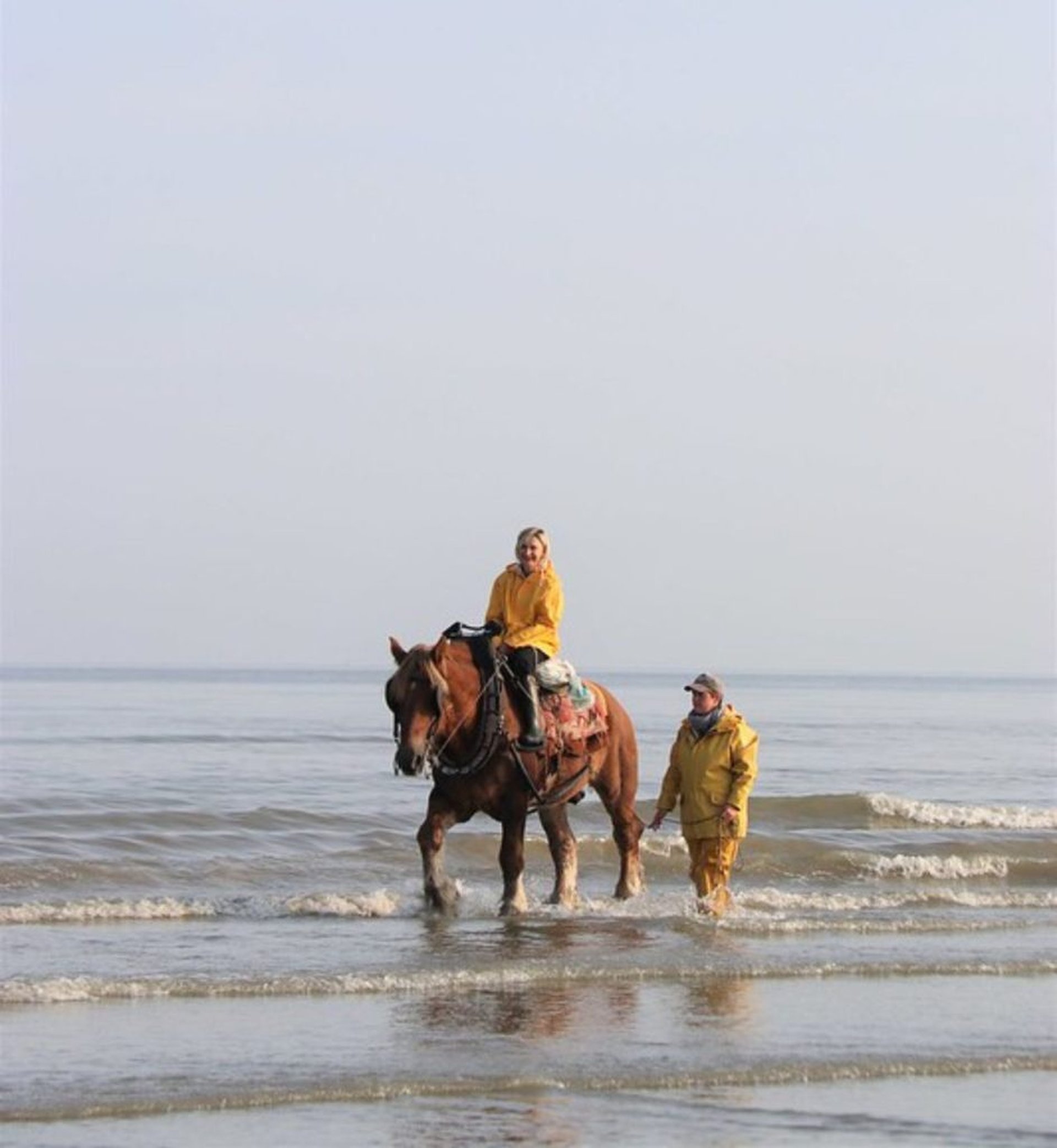 Kampeervakantie in België