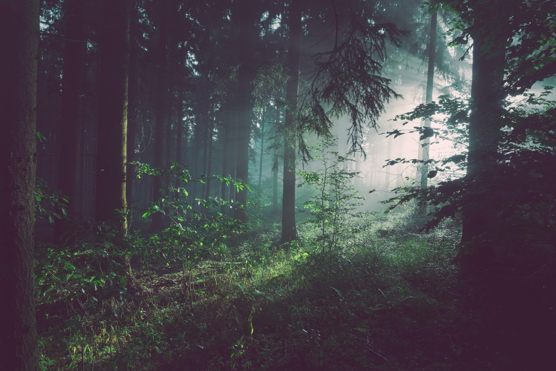 campingplätze thüringen