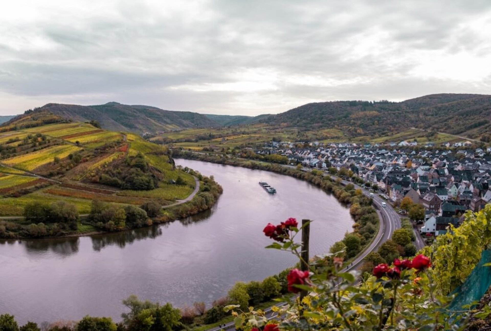 Deine Reisetipps für das Camping an der Mosel mit Hund im Herbst