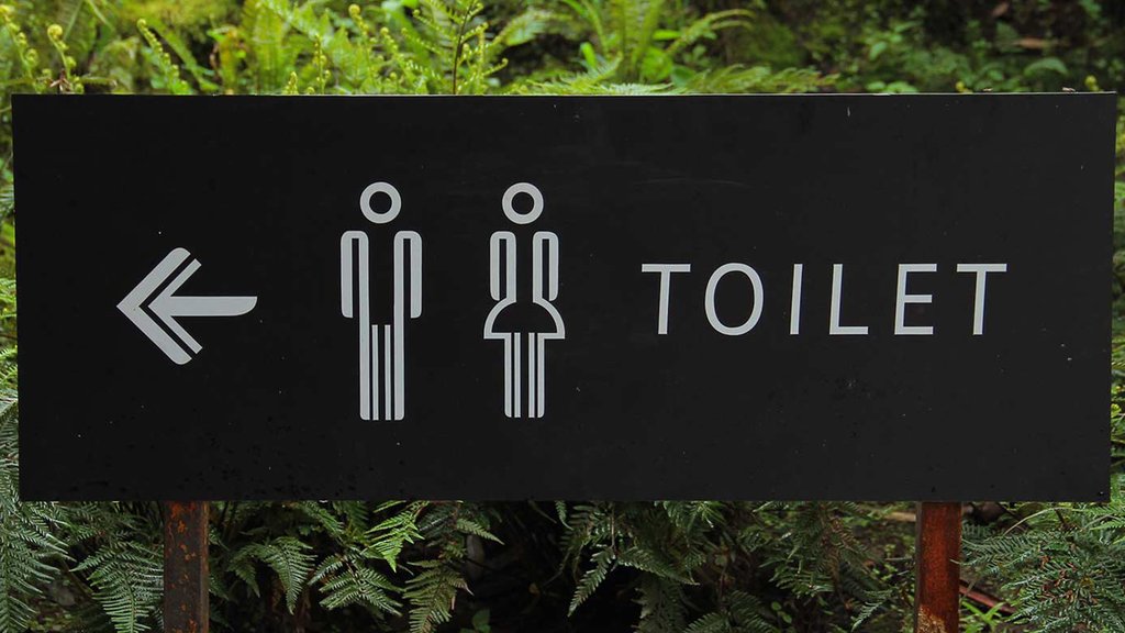 Campingtoilet - de luxe van het kleinste kamertje