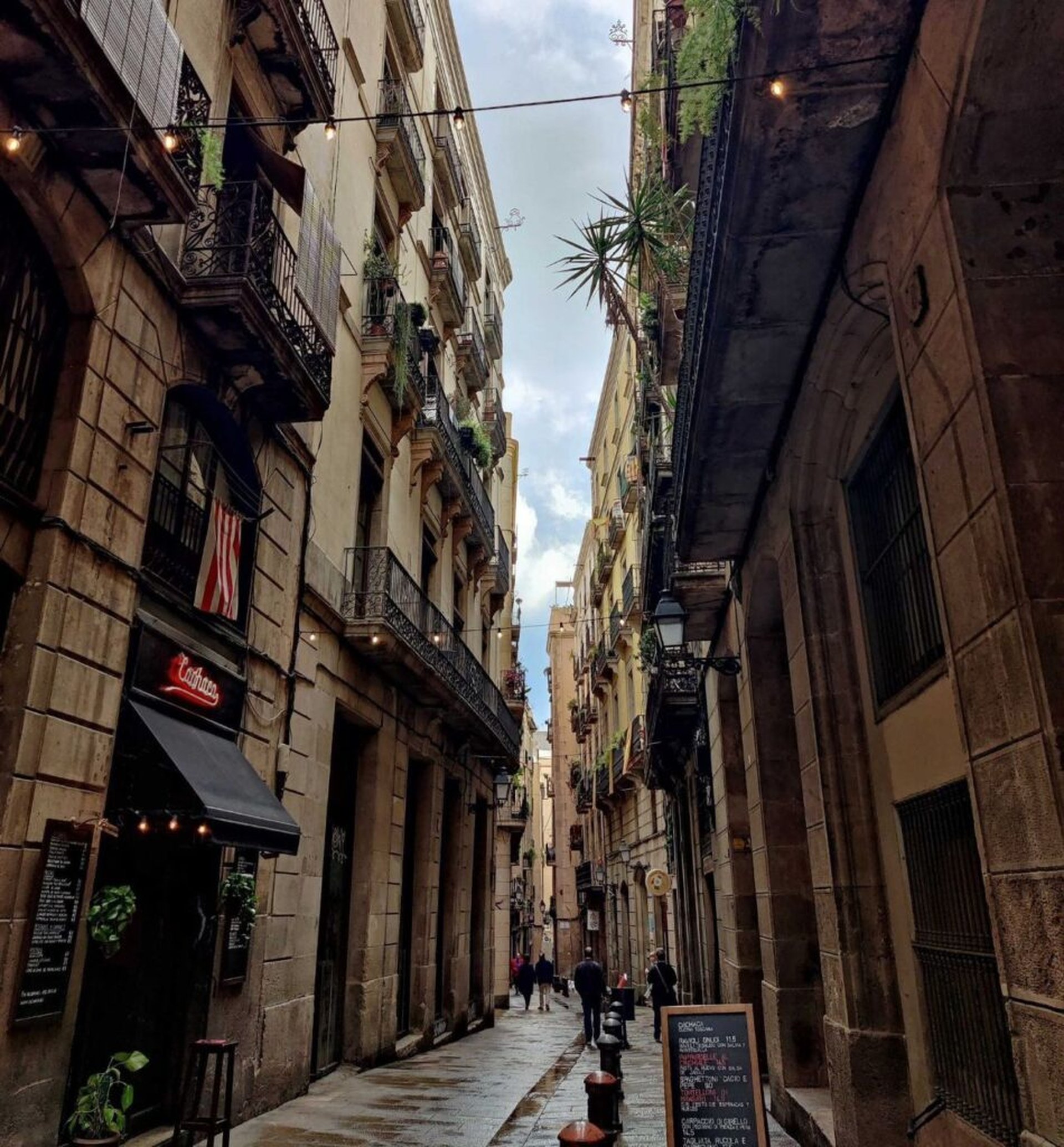 Camping in Barcelona: 14-daagse camperrondreis naar Spanje