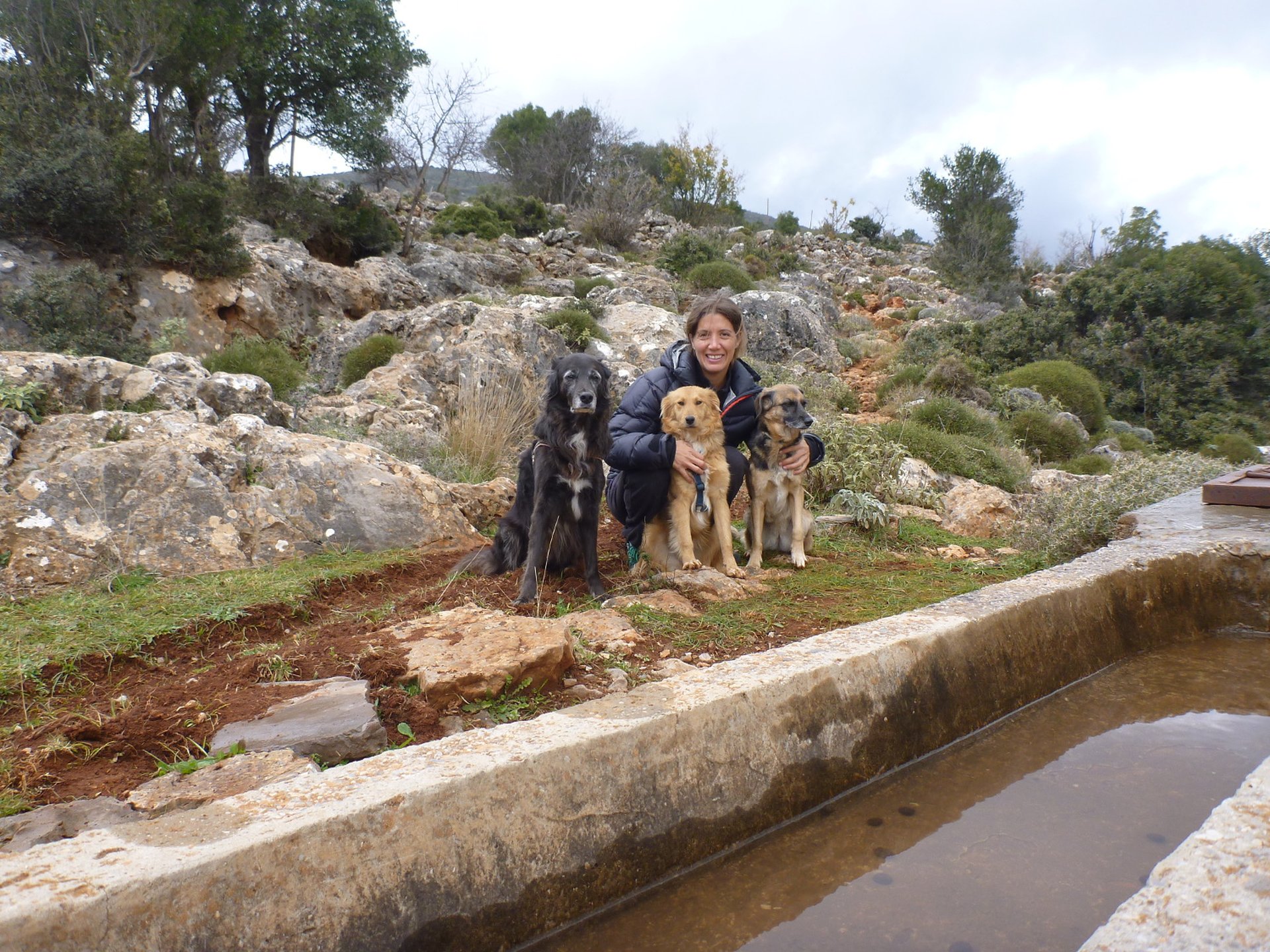 Camping Header: Leben im Wohnmobil