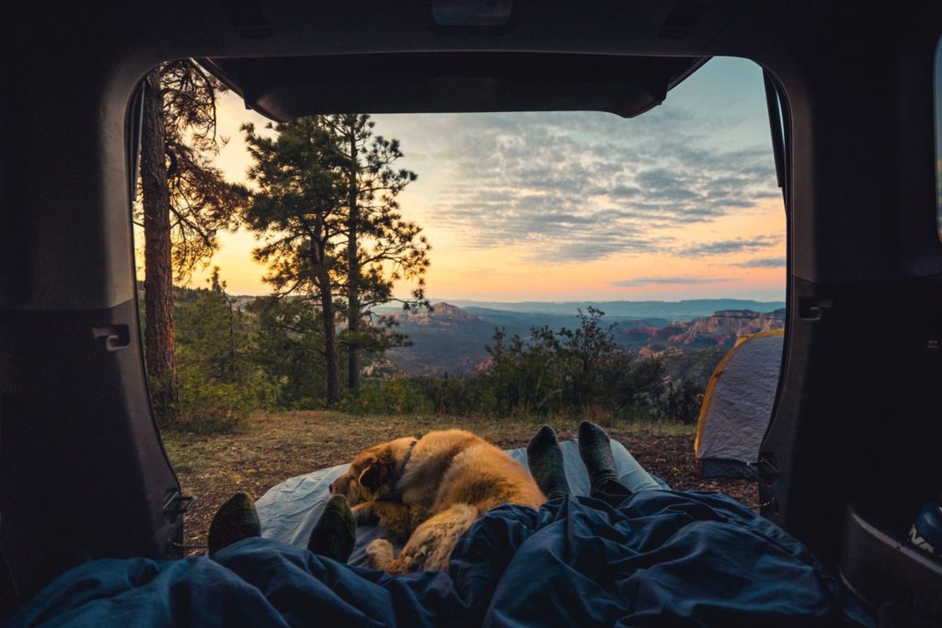 Urlaub mit Hund in Bayern: Erlebe Berge, Natur und frische Luft