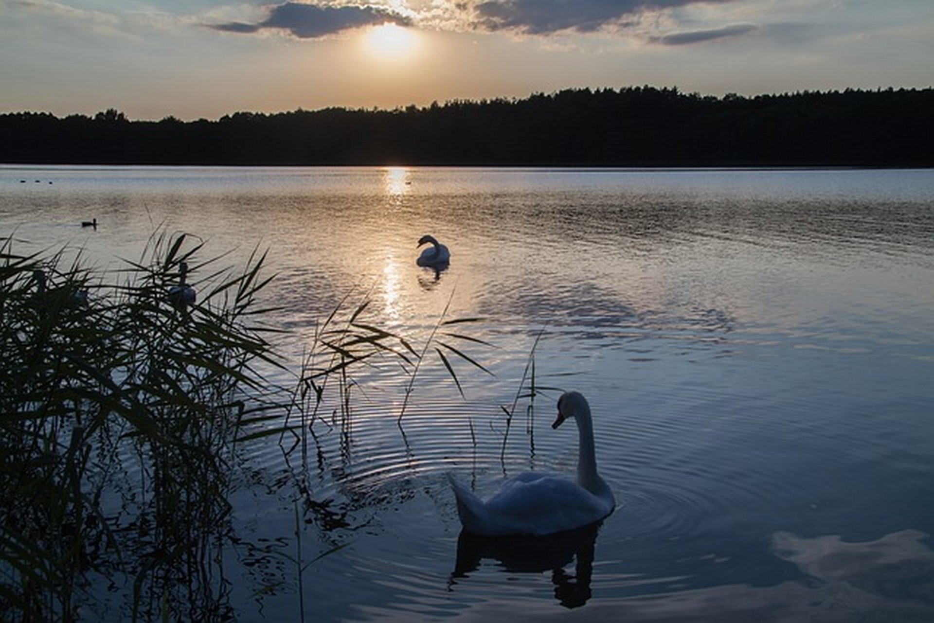 Die besten Seen für einen Campingurlaub in Deutschland und Österreich
