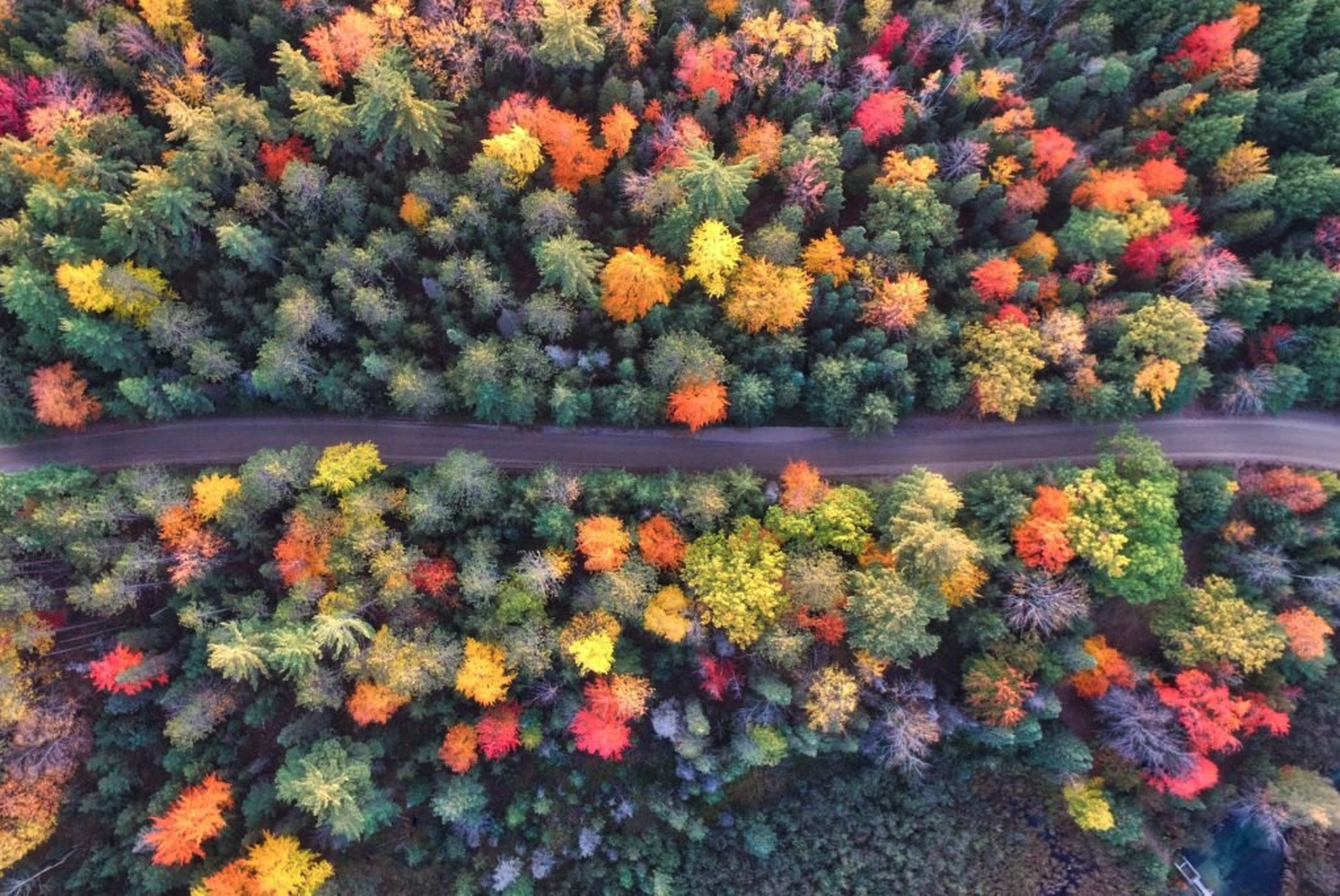 Know-how: Urlaub mit dem Wohnmobil im Herbst
