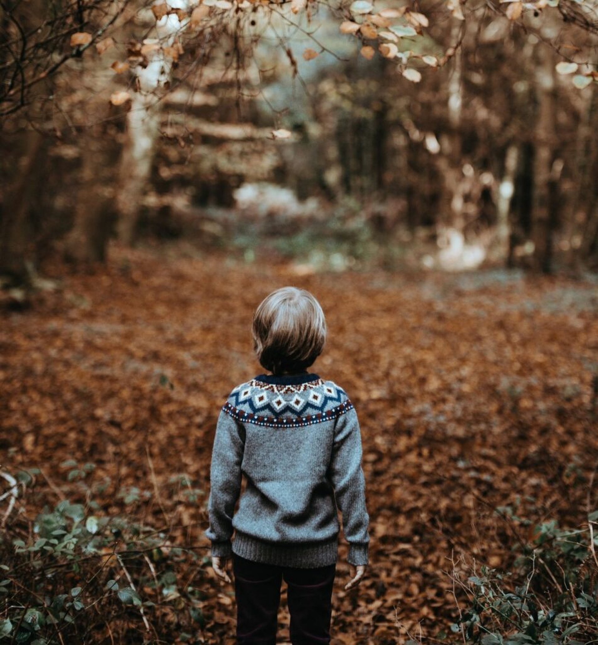 Vier Campingpläne für die Herbstferien Schleswig-Holstein 2023