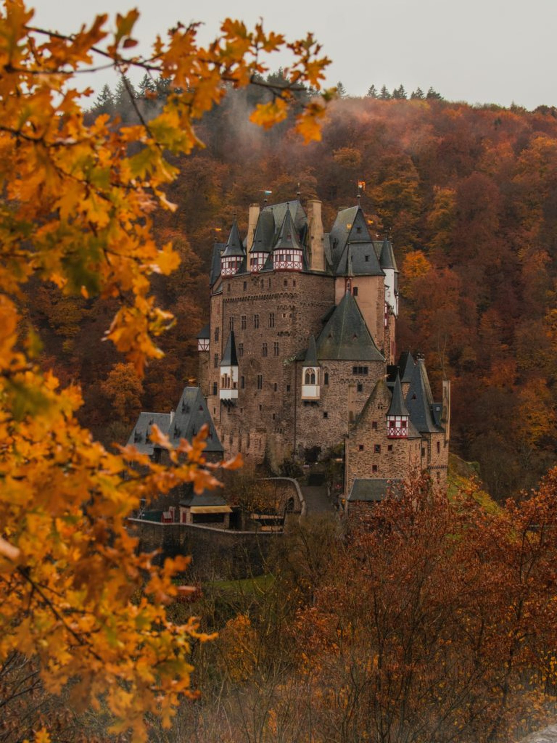 Burg Eltz Pfälzer Wald Herbst