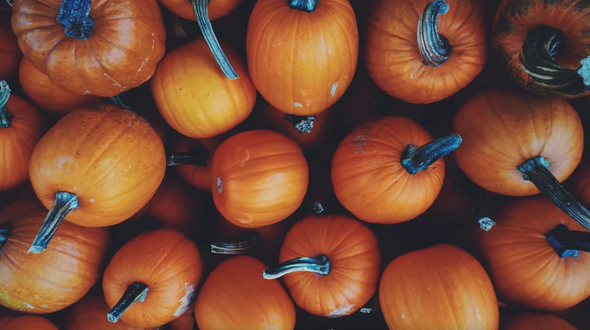 Camping Header: Urlaub mit dem Wohnmobil im Herbst