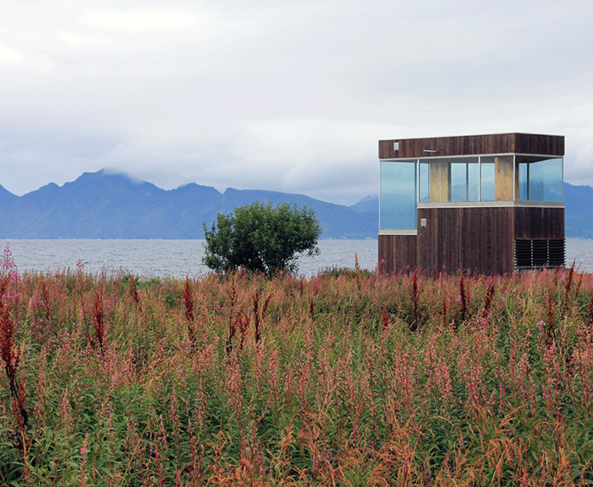 Ein kantiges Haus steht in einem Blumenfeld, dahinter Wasser