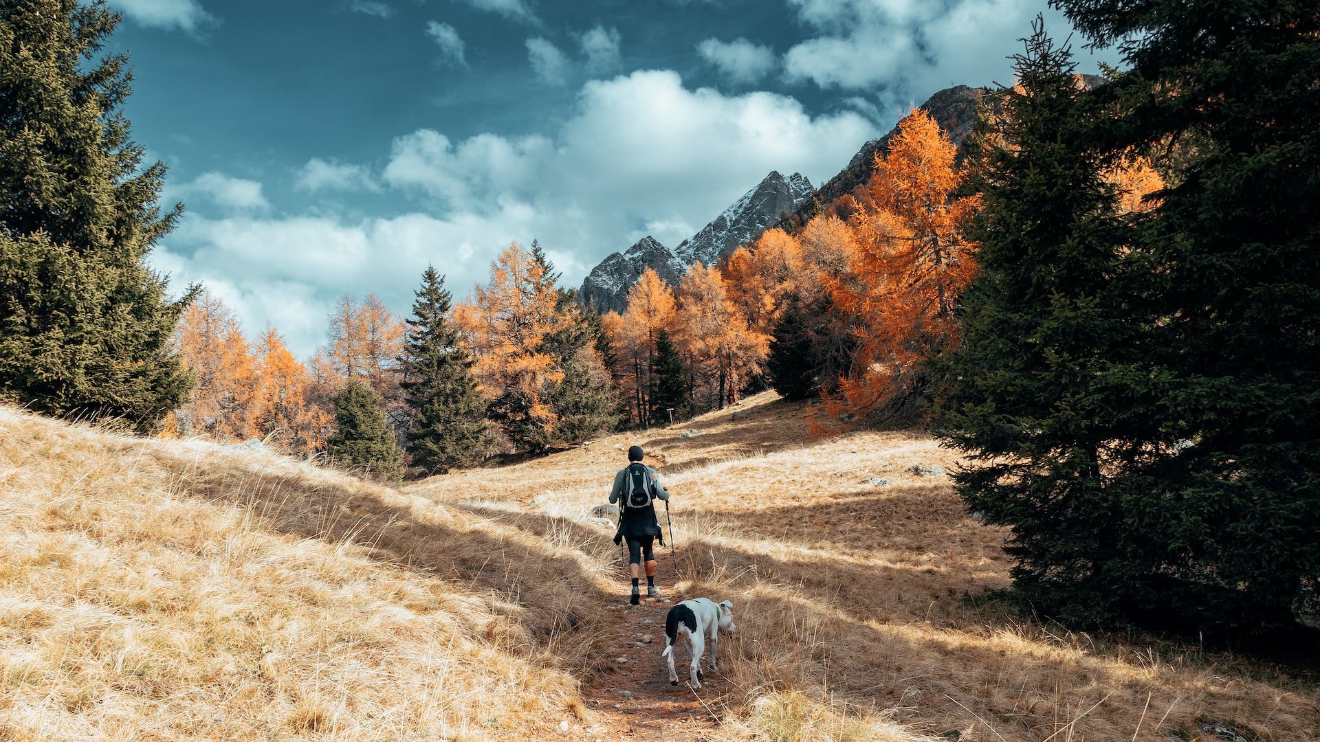 Wandern Meraner Höhenweg Herbst
