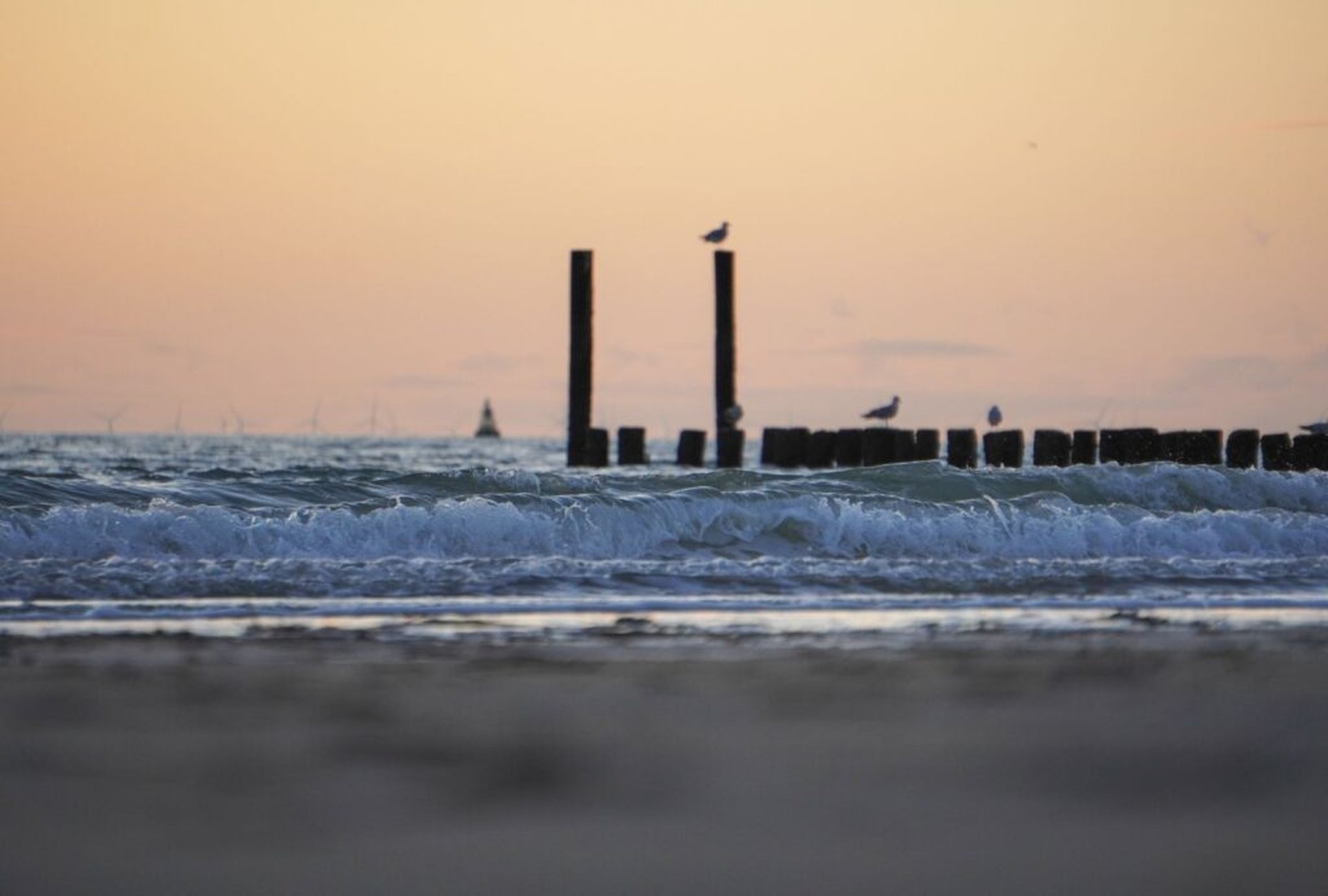 Kamperen in Zeeland: Veelzijdigheid, vrijheid en weidsheid ten top!