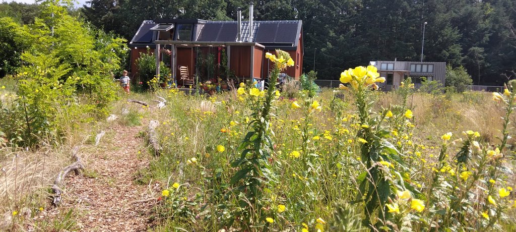 Camper header: 5 alternatieve woonvormen onder de 50.000 euro in 2021