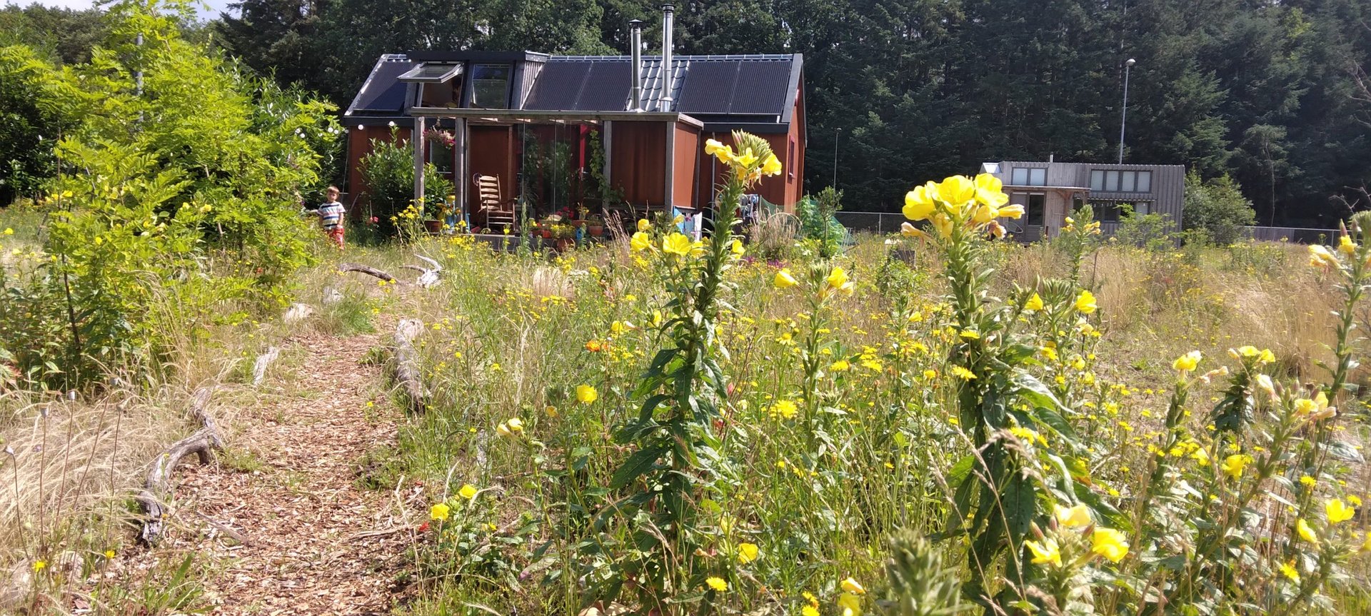 Camper header: 5 alternatieve woonvormen onder de 50.000 euro in 2021