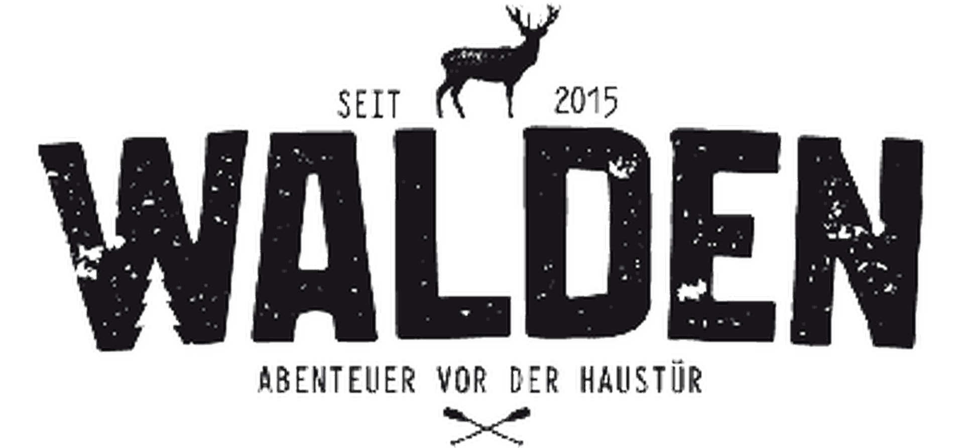 Camping Header: Vanlife im Volkswagen