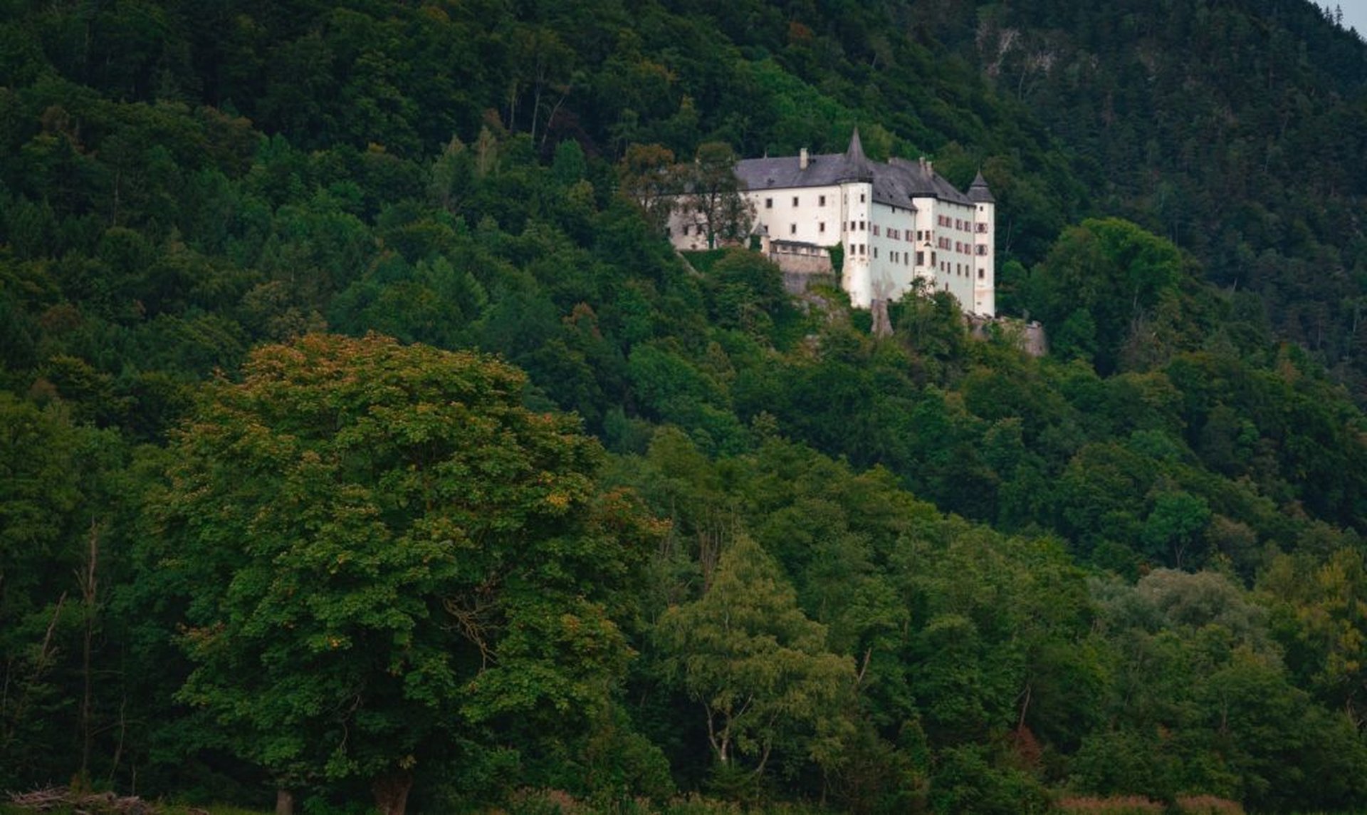 Burgen und Schlösser in Österreich: Das sind die 9 Schönsten