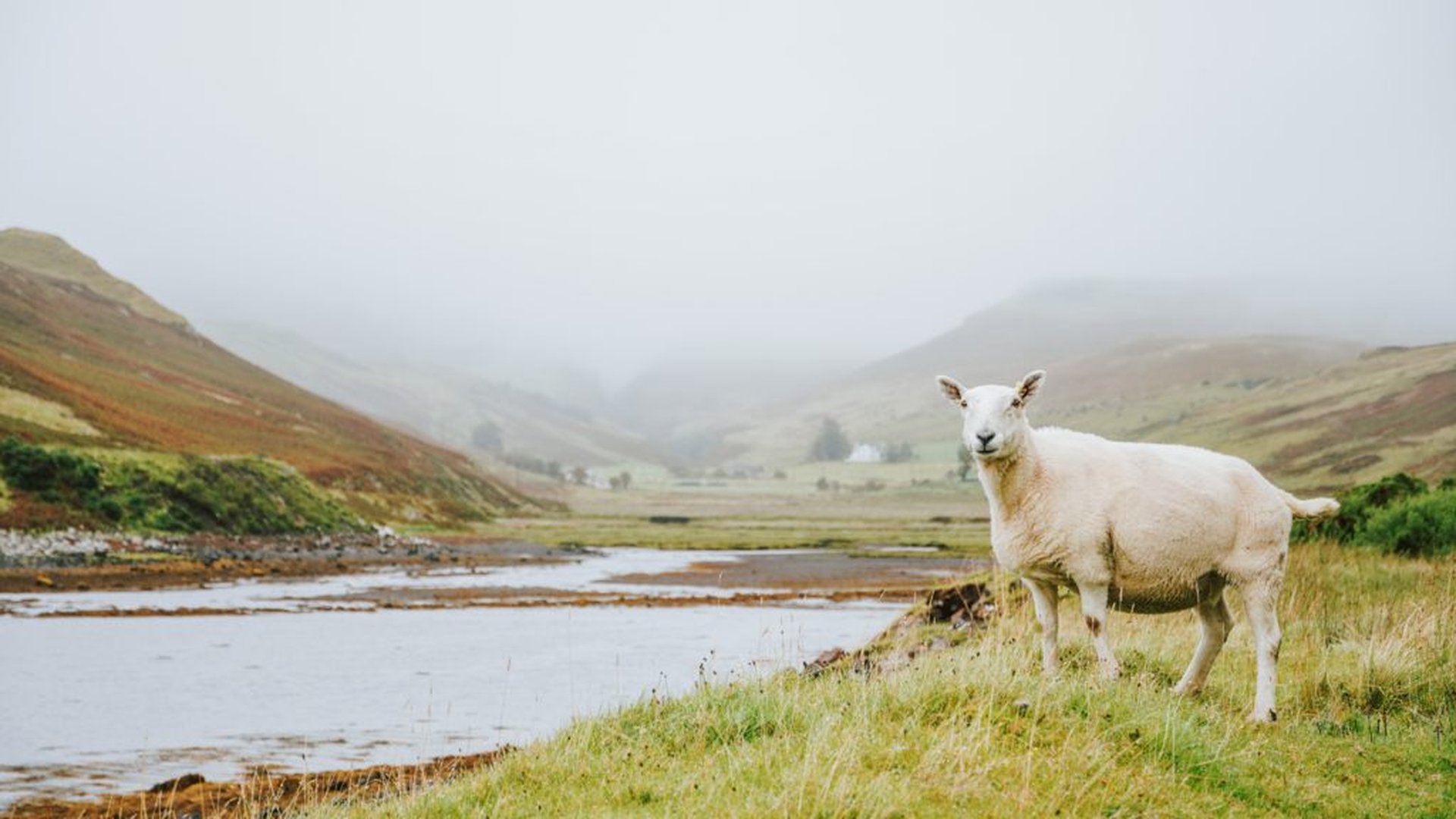 Ein Schottland-Roadmovie mit Enge und Weite
