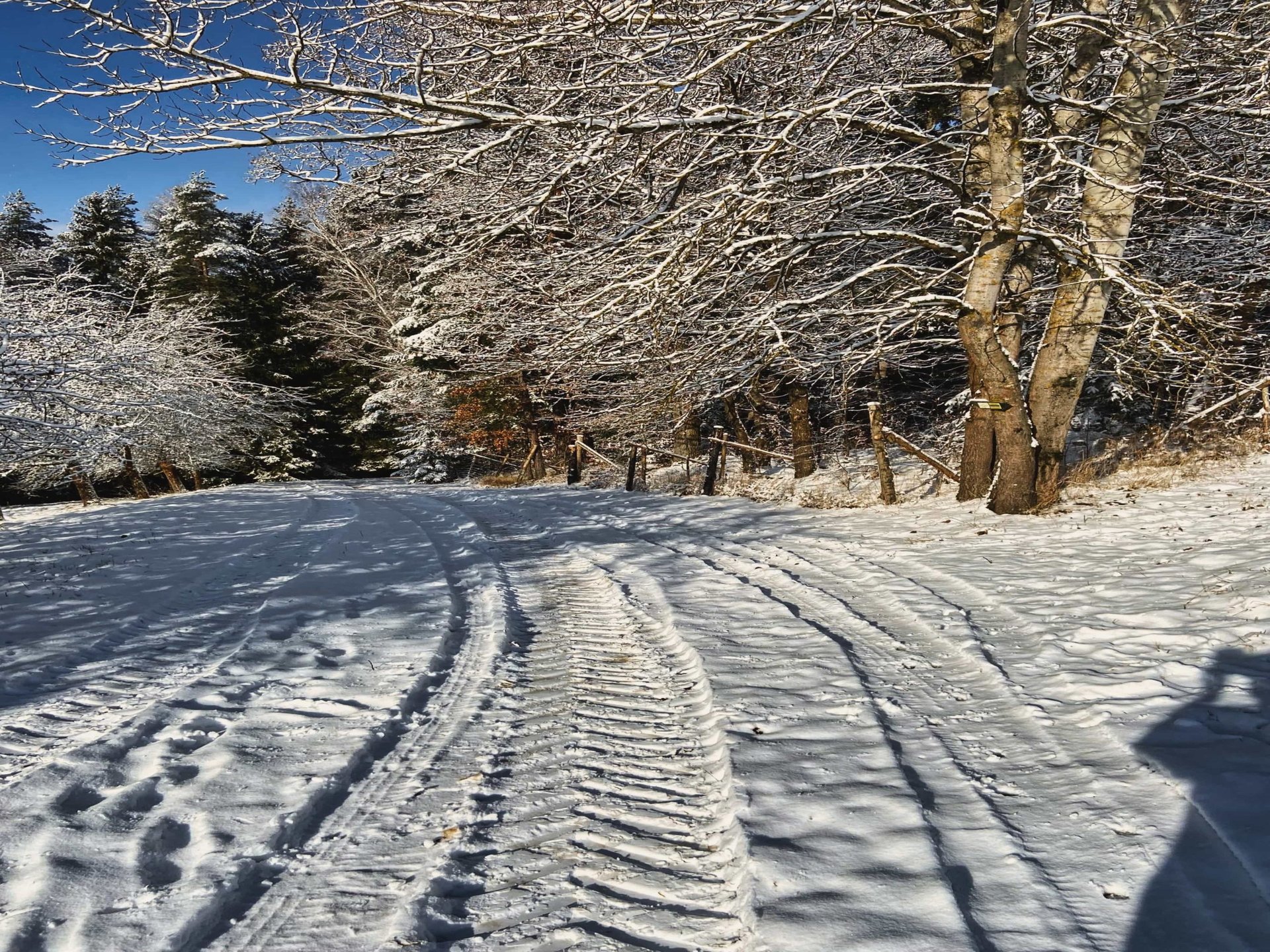 Campingurlaub im Winter Schnee Feld Wintercamping Deutschland