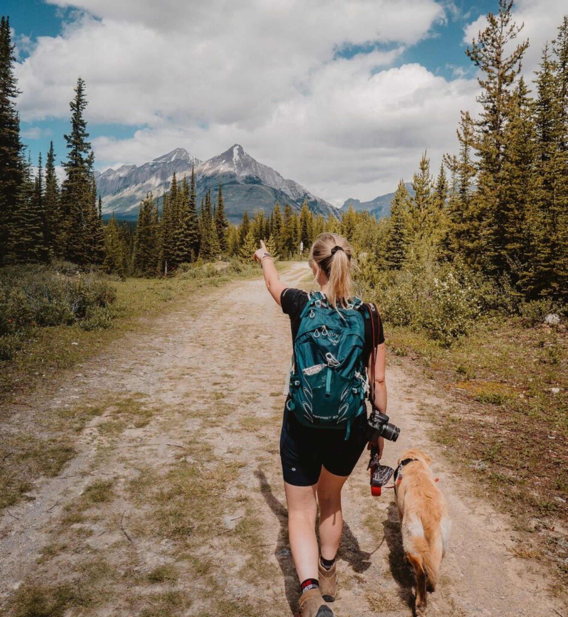 Die besten Stellplätze für Urlaub mit Hund in Österreich