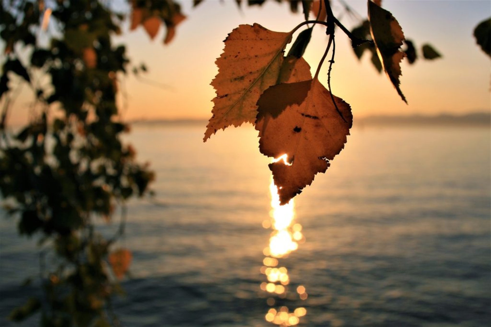 7 Reiseziele für deine Herbstferien - Urlaub mit Kindern, aber wohin? - Bodensee 1 1024x683