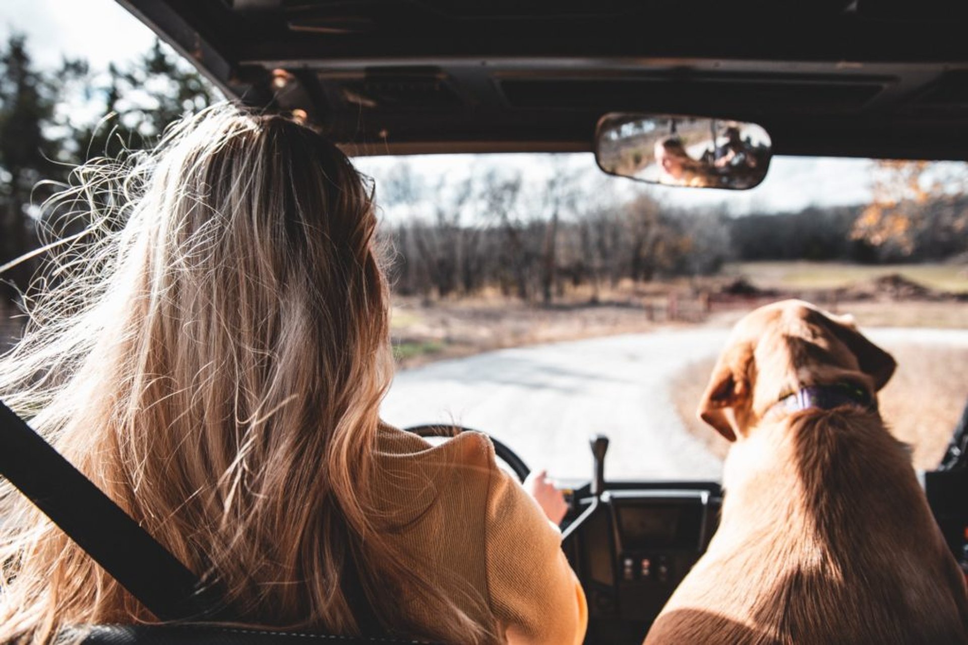 Roadtrip planen: In 3 Schritten zur perfekten Route