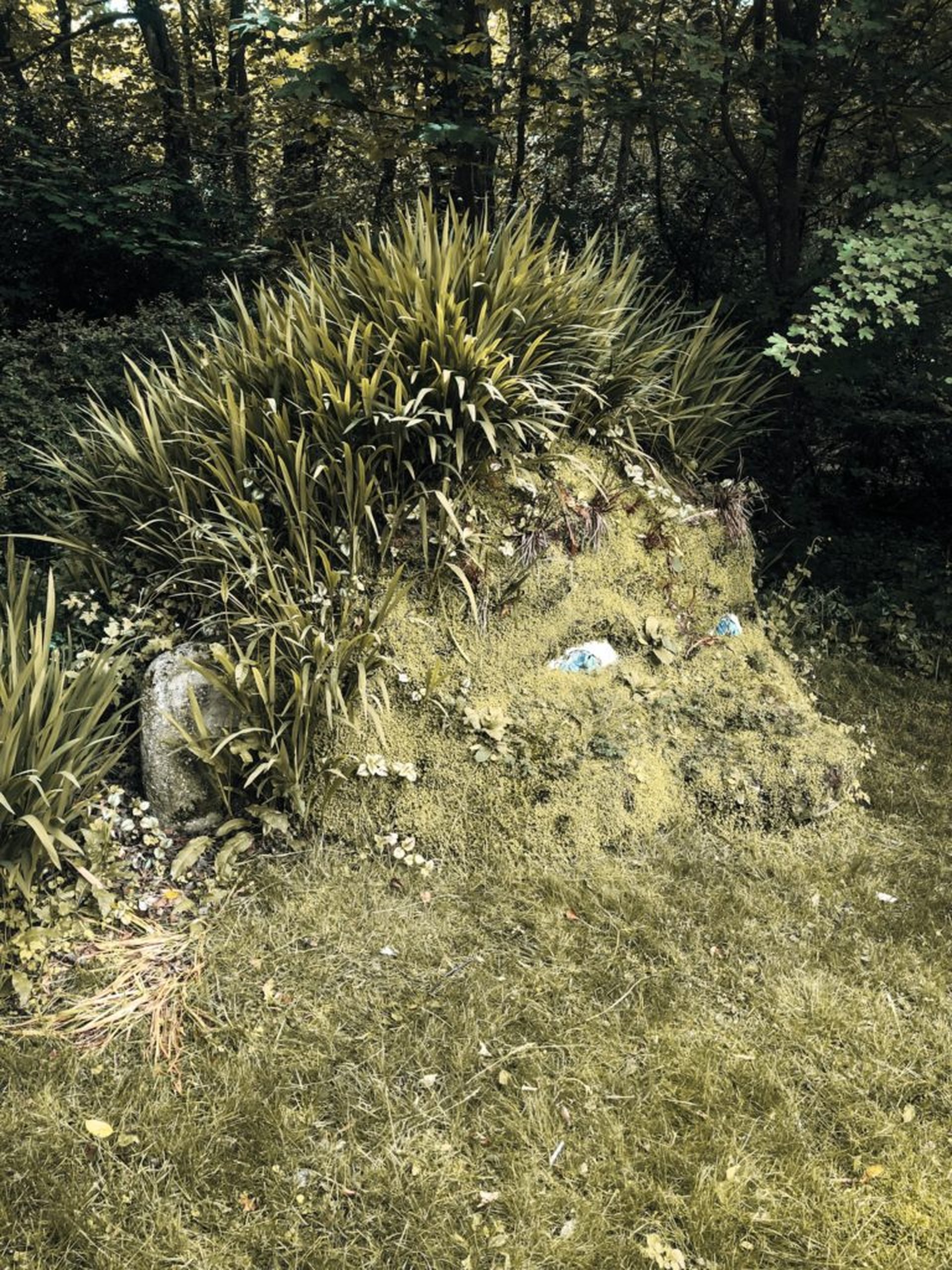 Ausflugsziele für Kinder in Cornwall - 1 768x1024