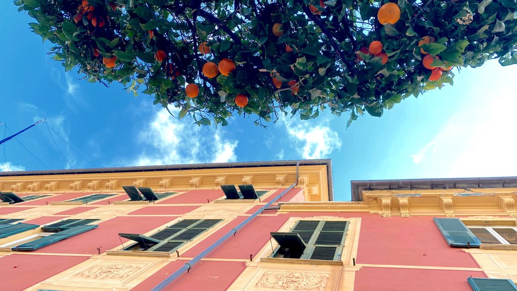 Dein Italien-Roadtrip: Wohnmobil auf malerischer Küstenstraße, bereit für Pasta & Stellplatz-Abenteuer!