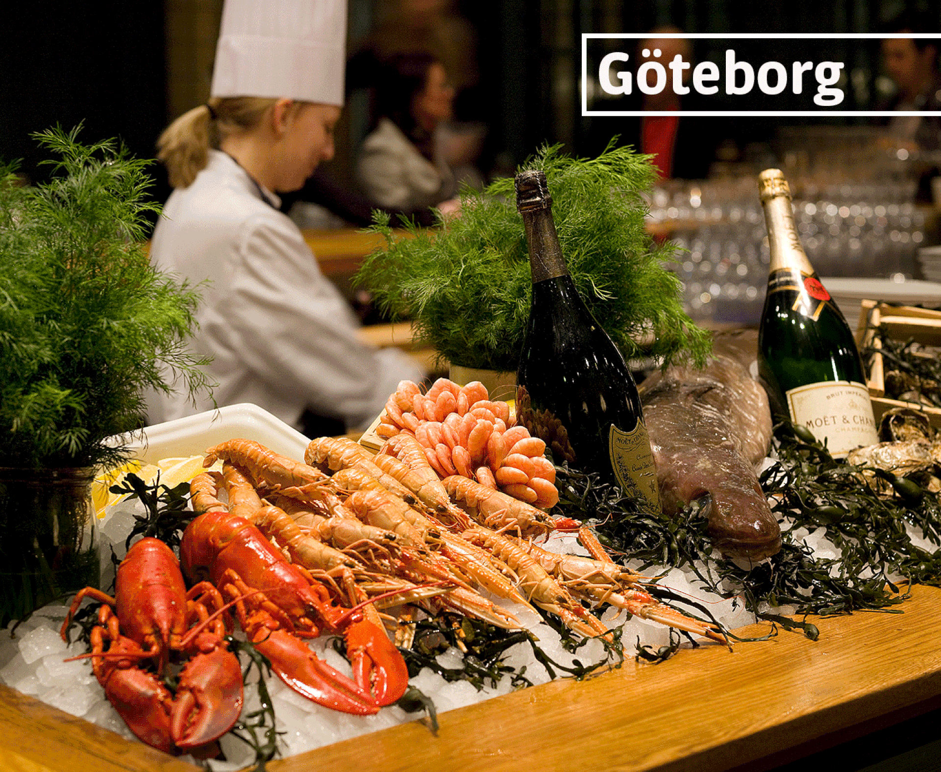 Hummer Shrimps Tintenfisch Muscheln und Champagner