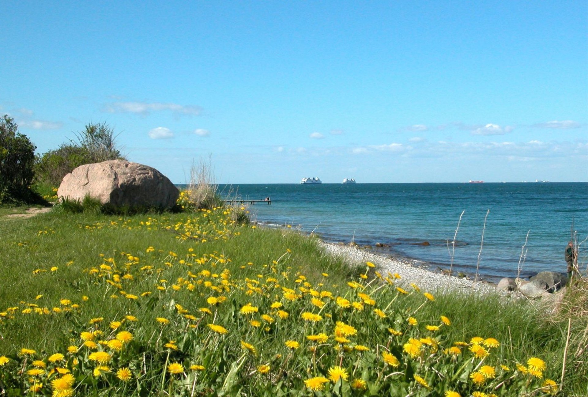 Sonneninsel Fehmarn Nordsee Strand Fähren Blumen Sommerurlaub am Meer