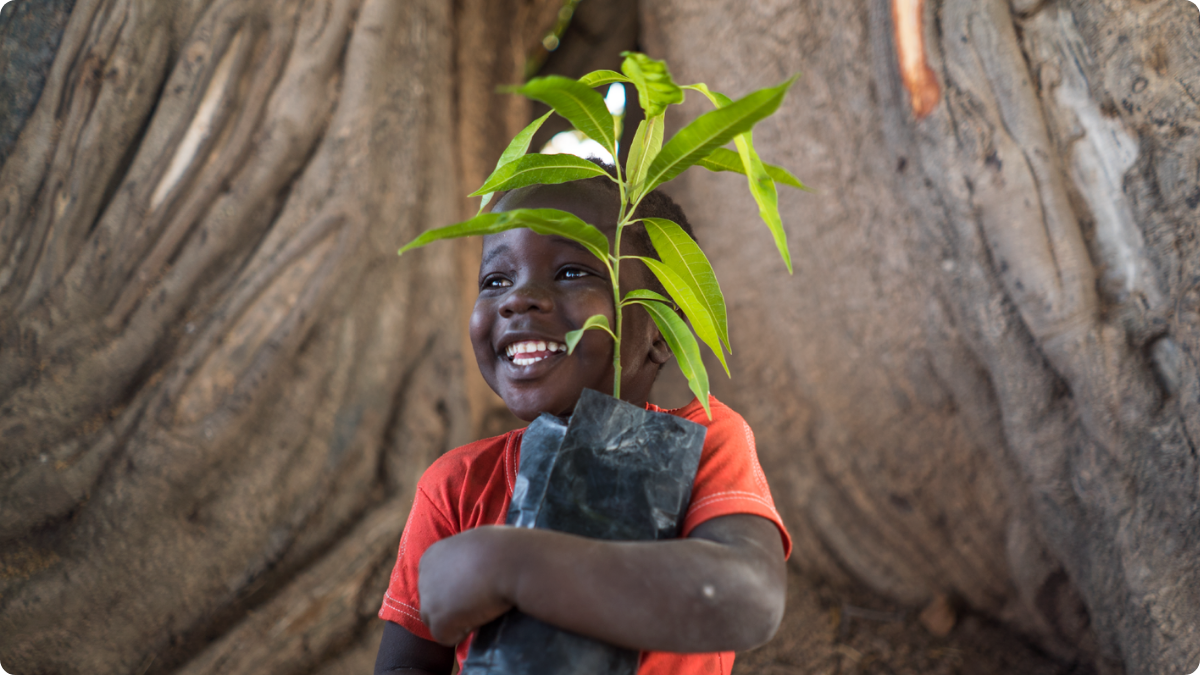 Trees for the future