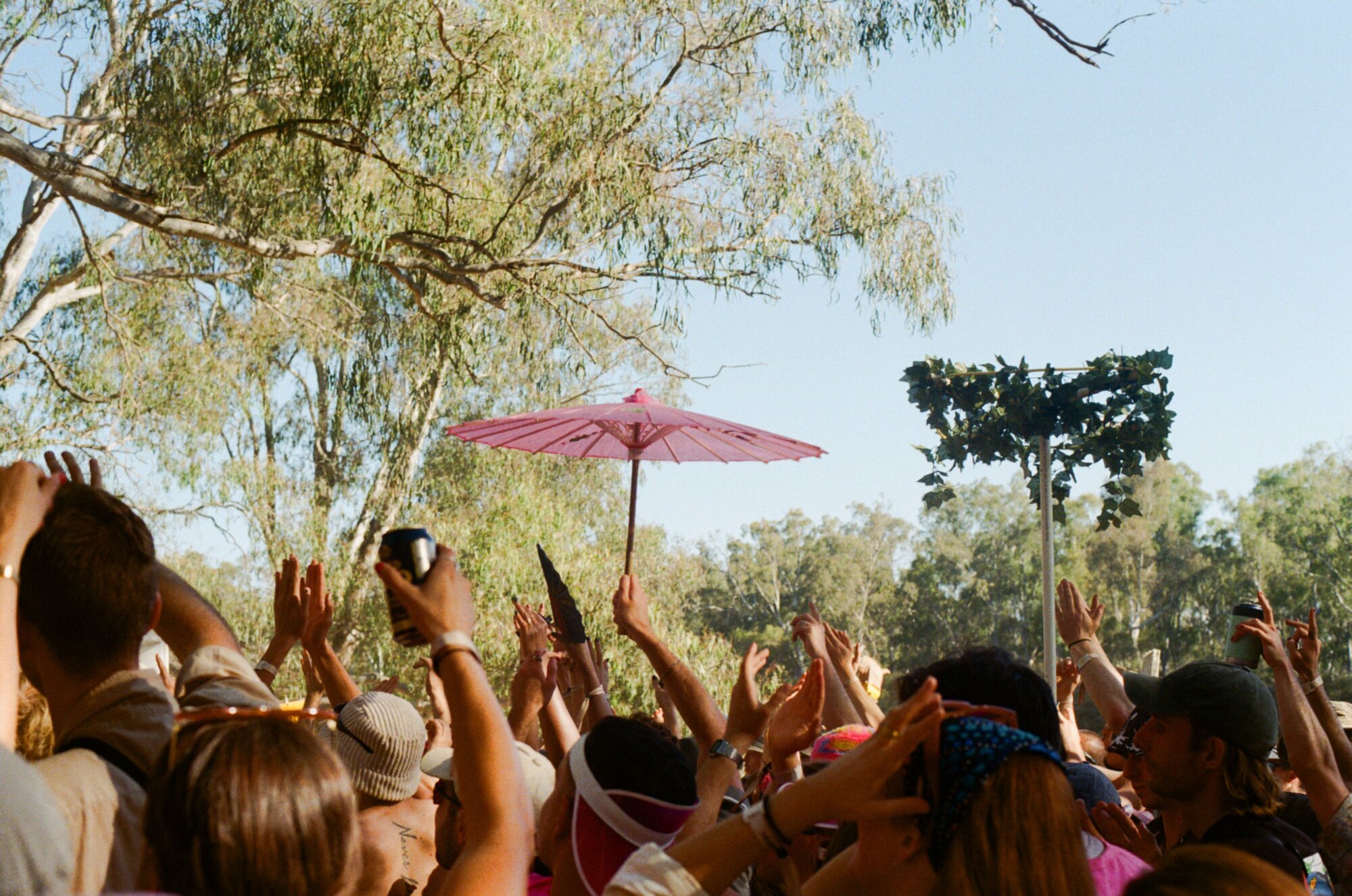 Guests enjoying a festival